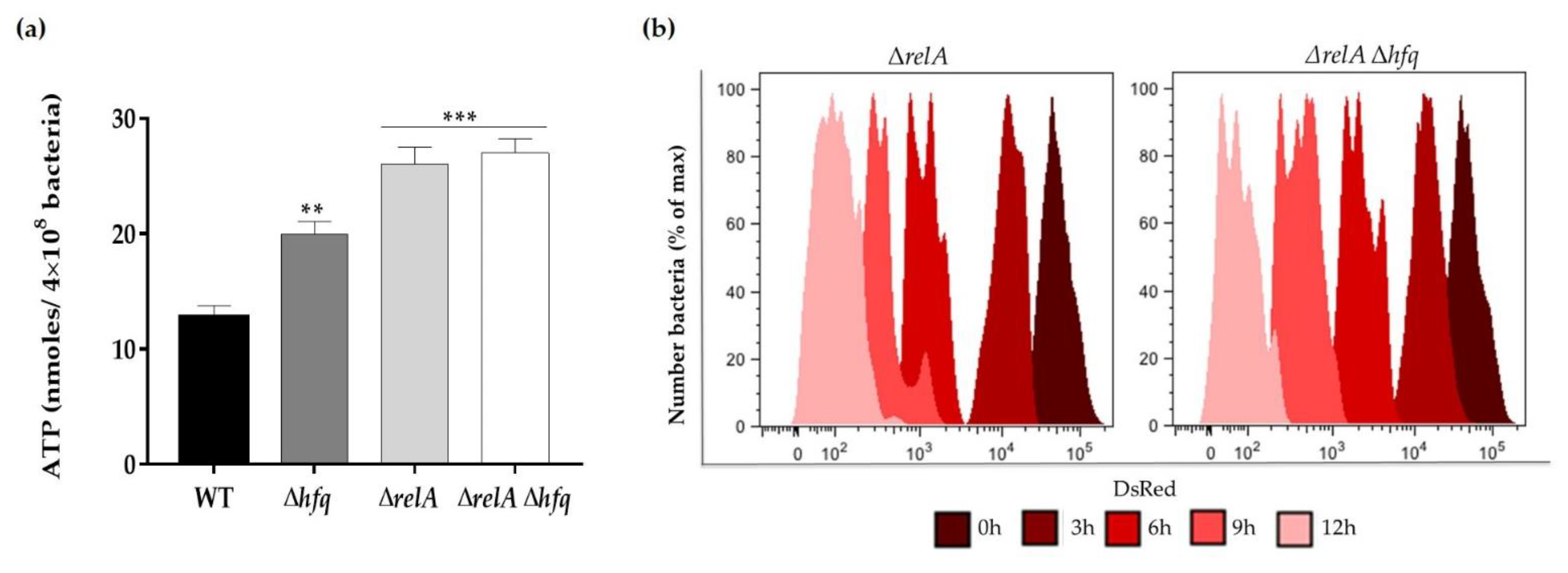 Microorganisms 09 01404 g005 Microorganisms 09 01404 g005