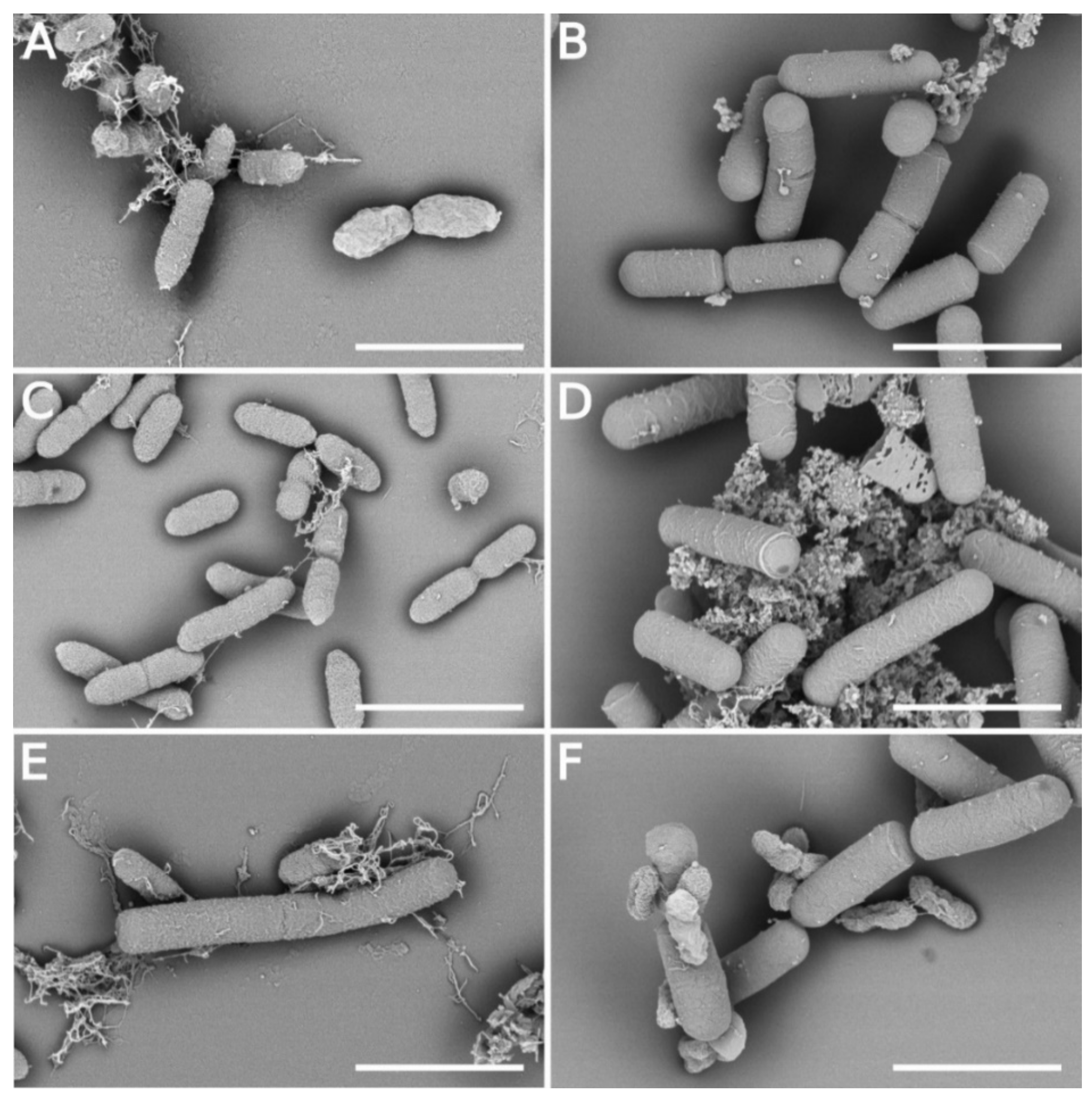 Microorganisms 09 01410 g004 Microorganisms 09 01410 g004