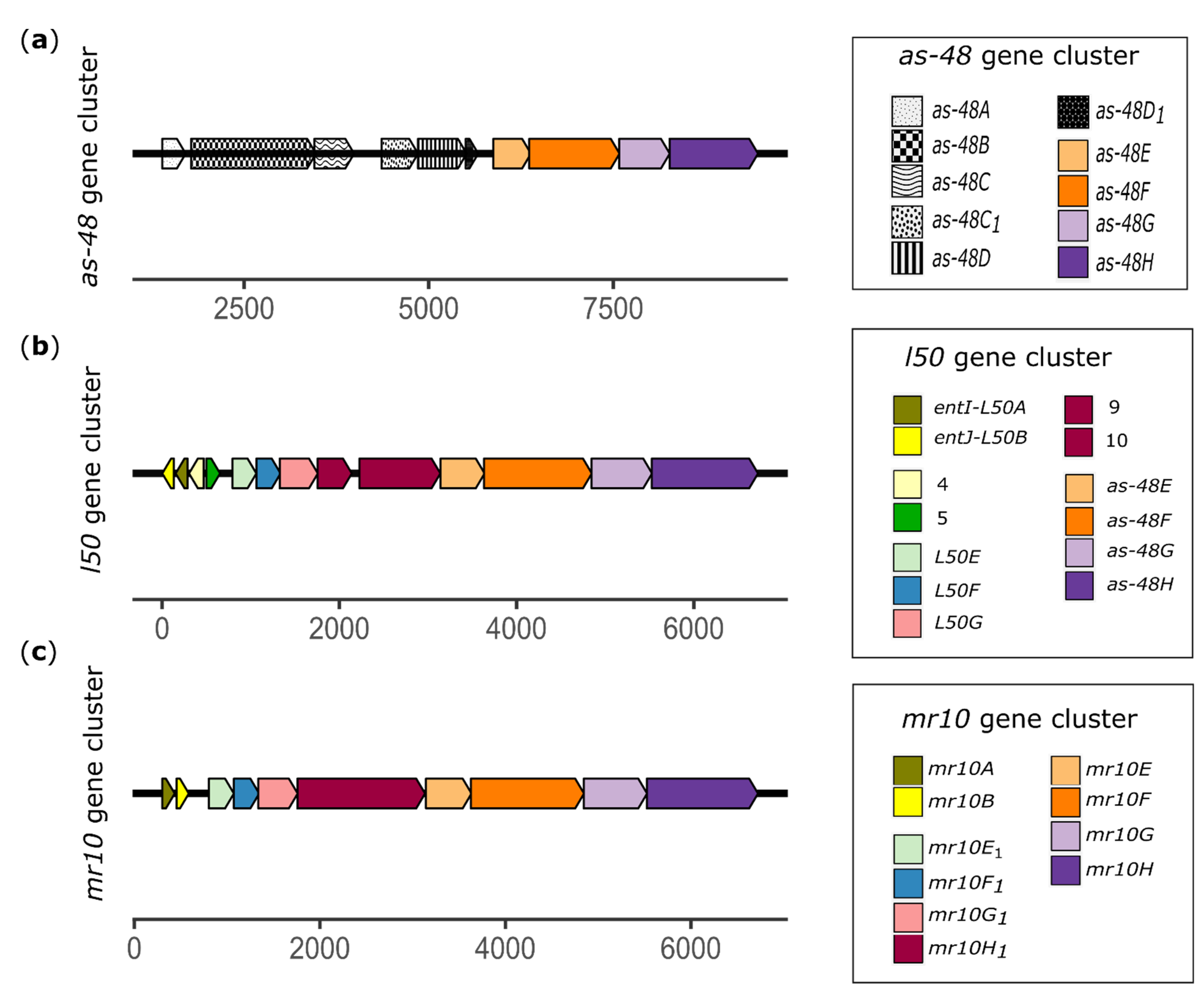 Microorganisms 09 01411 g002 Microorganisms 09 01411 g002