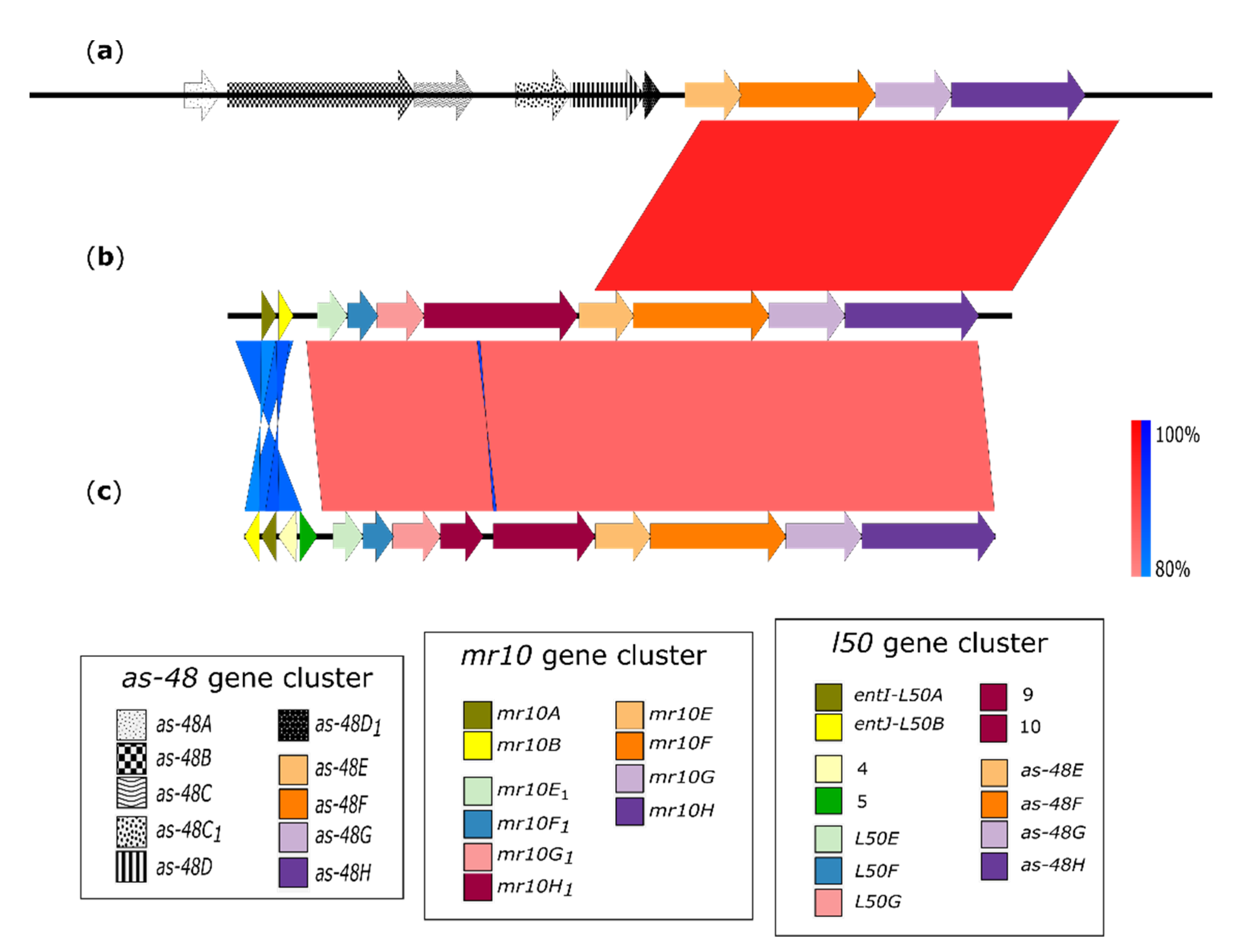 Microorganisms 09 01411 g003 Microorganisms 09 01411 g003