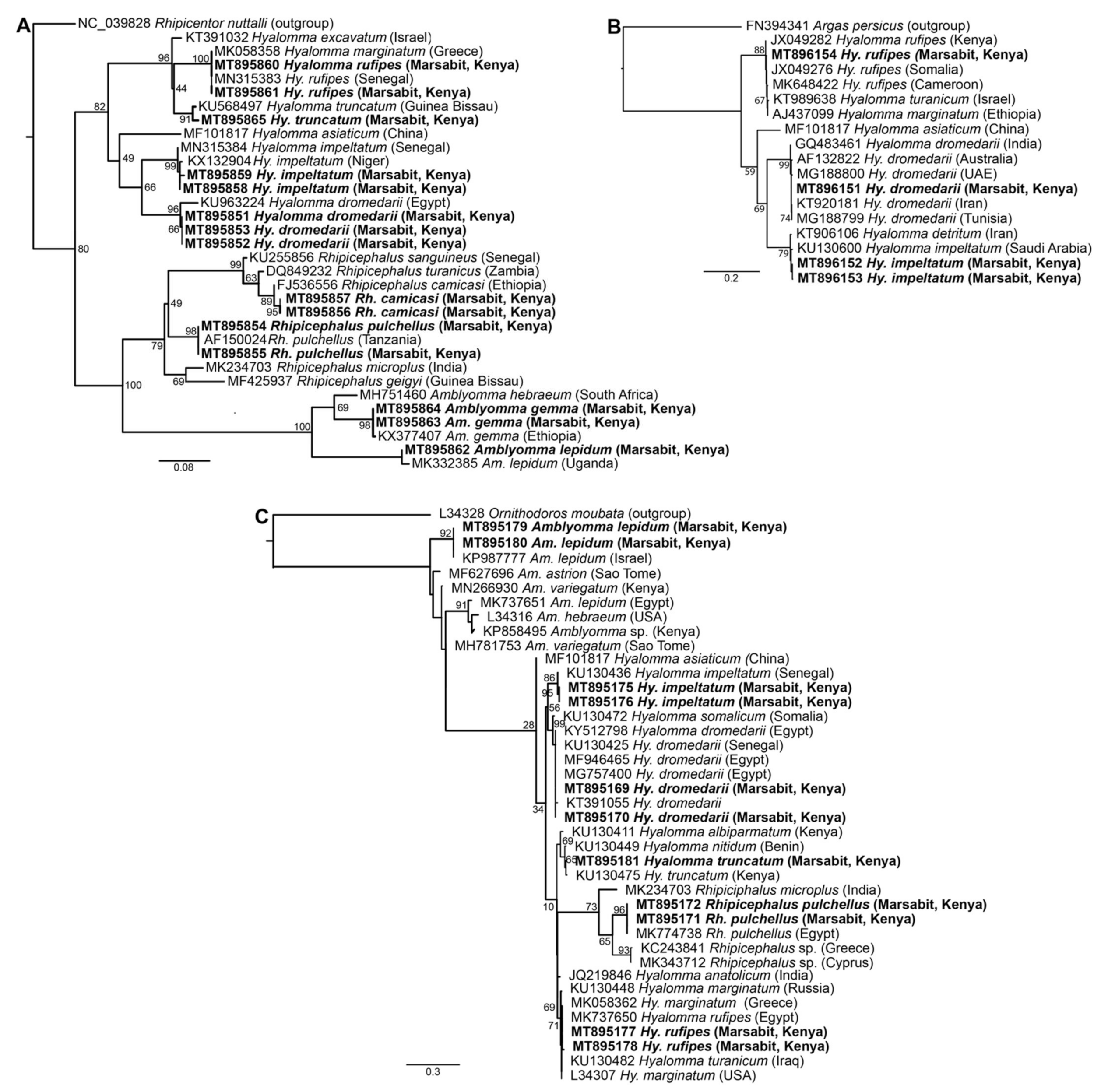 Microorganisms 09 01414 g003