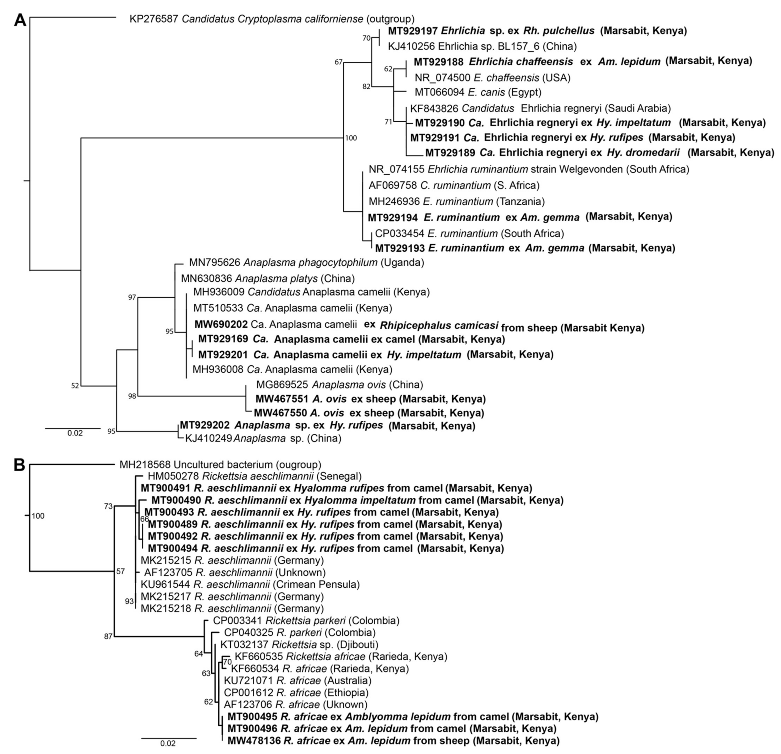Microorganisms 09 01414 g005