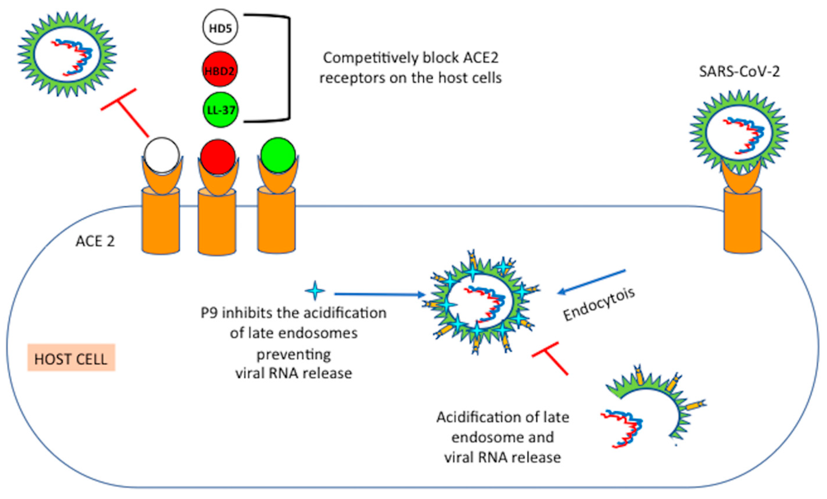 Microorganisms 09 01415 g002