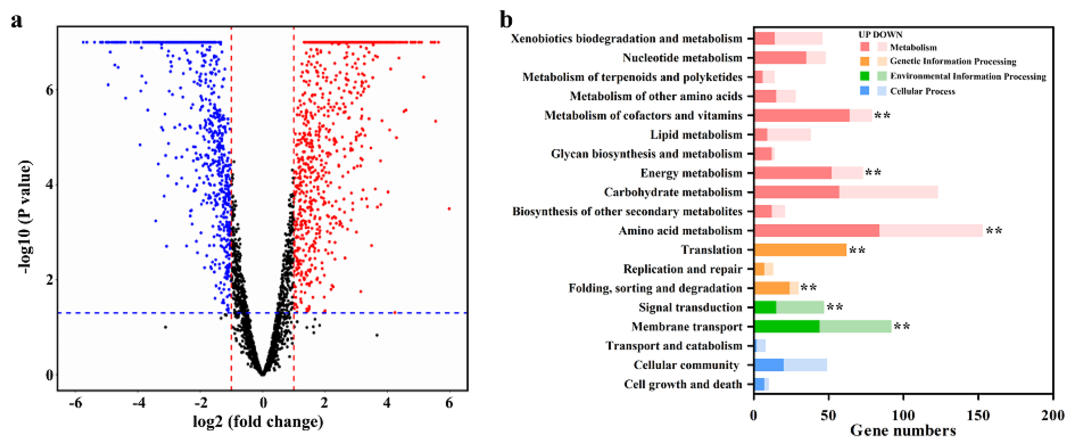 Microorganisms 09 01417 g004