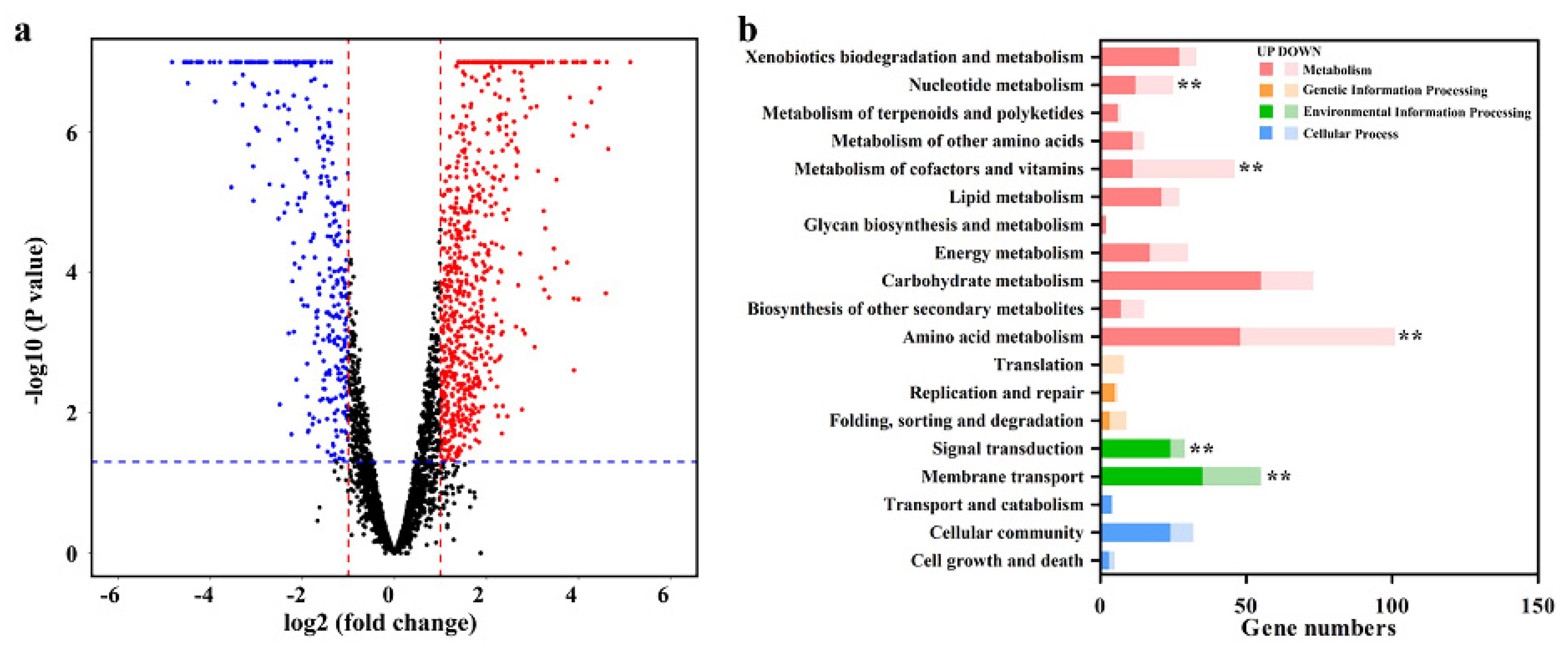 Microorganisms 09 01417 g005