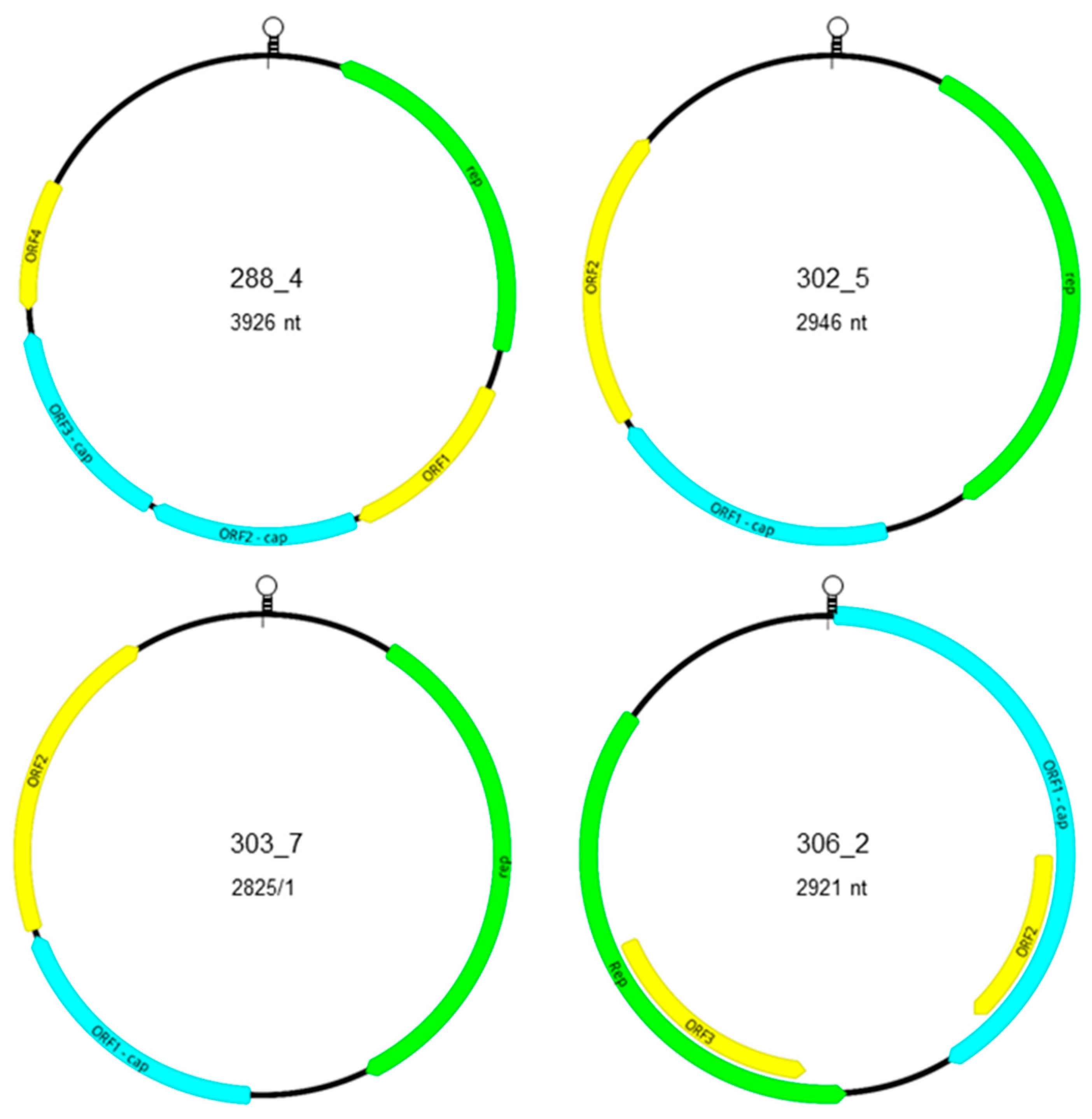 Microorganisms 09 01426 g002