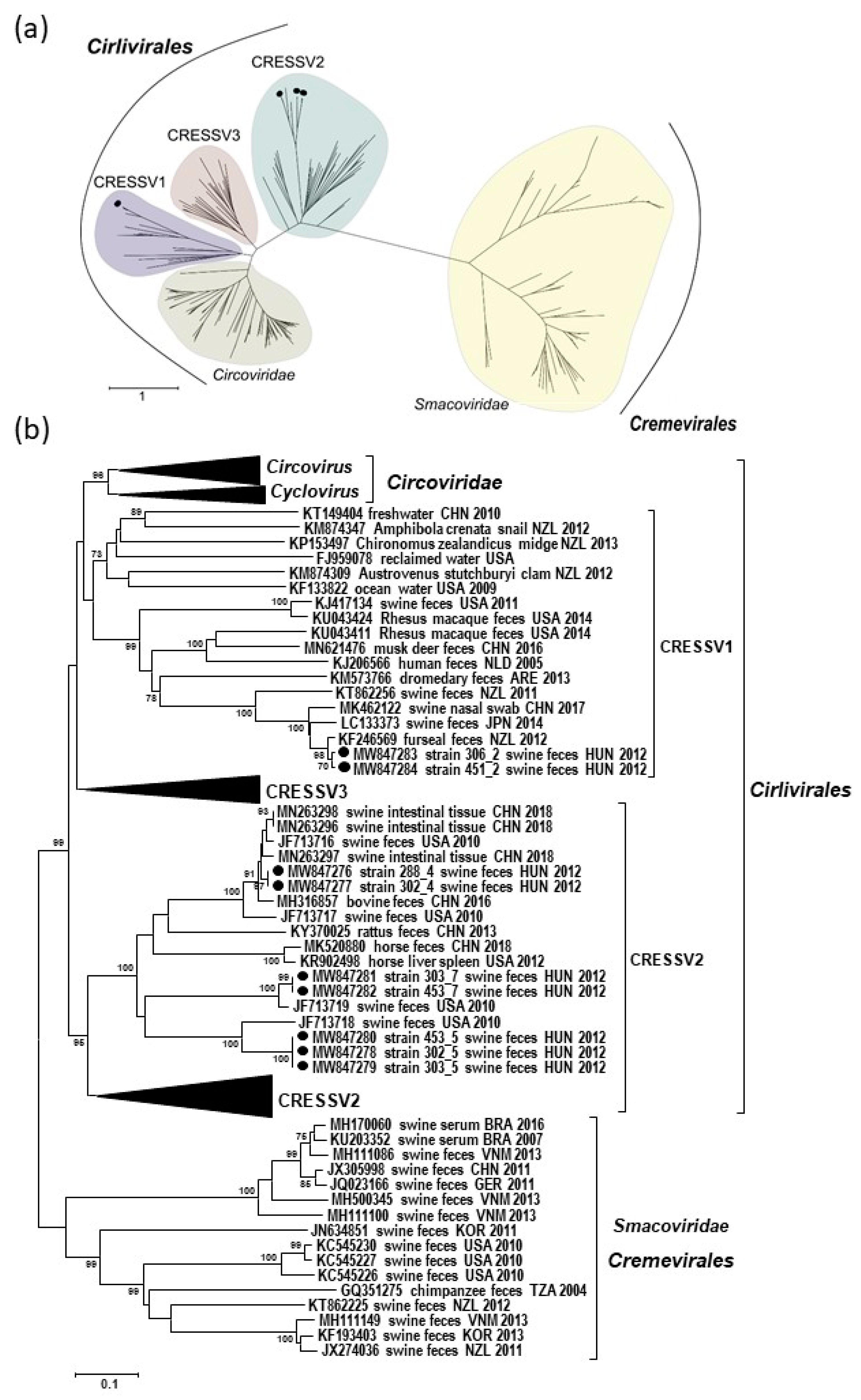 Microorganisms 09 01426 g003