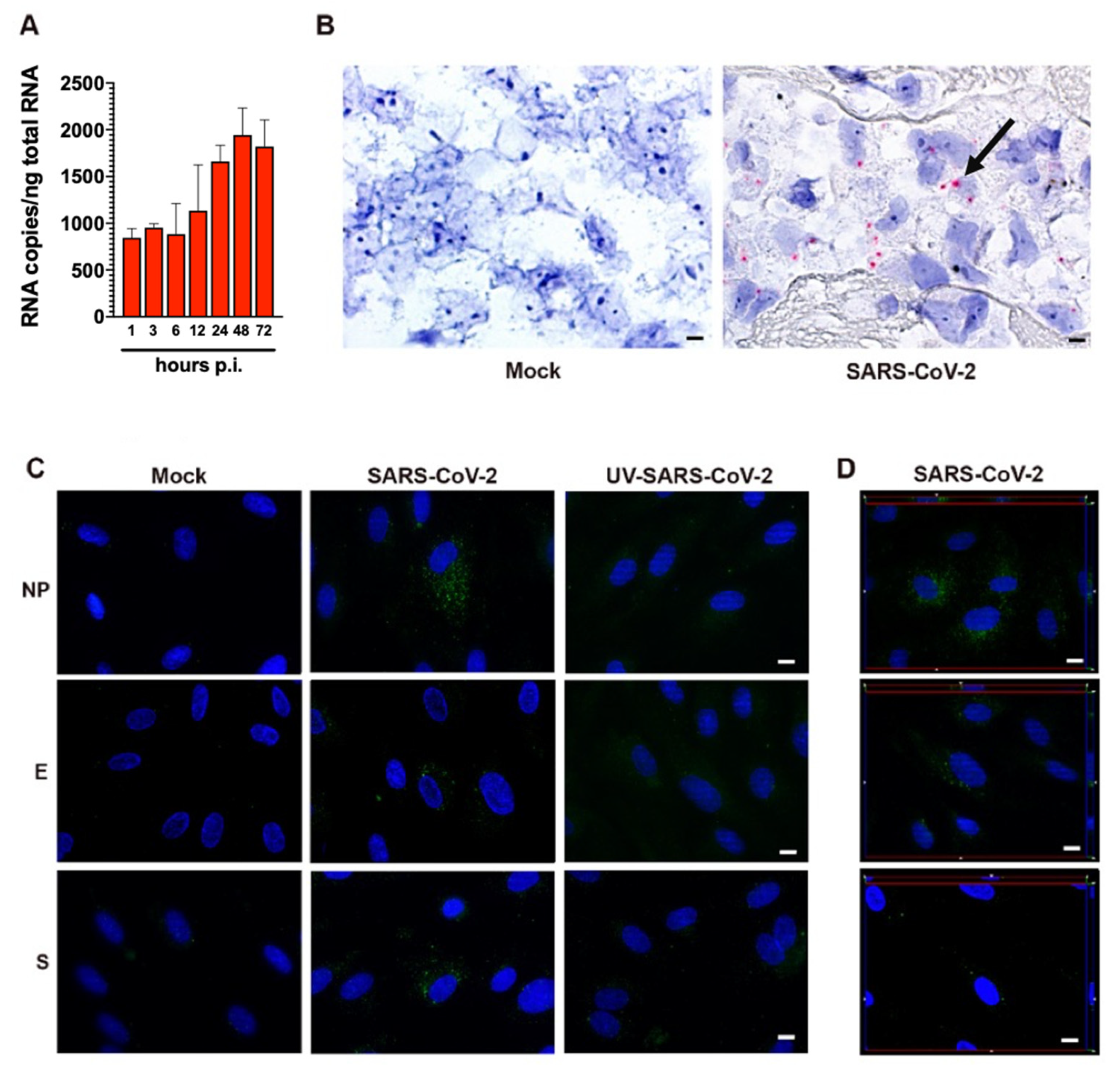 Microorganisms 09 01438 g002