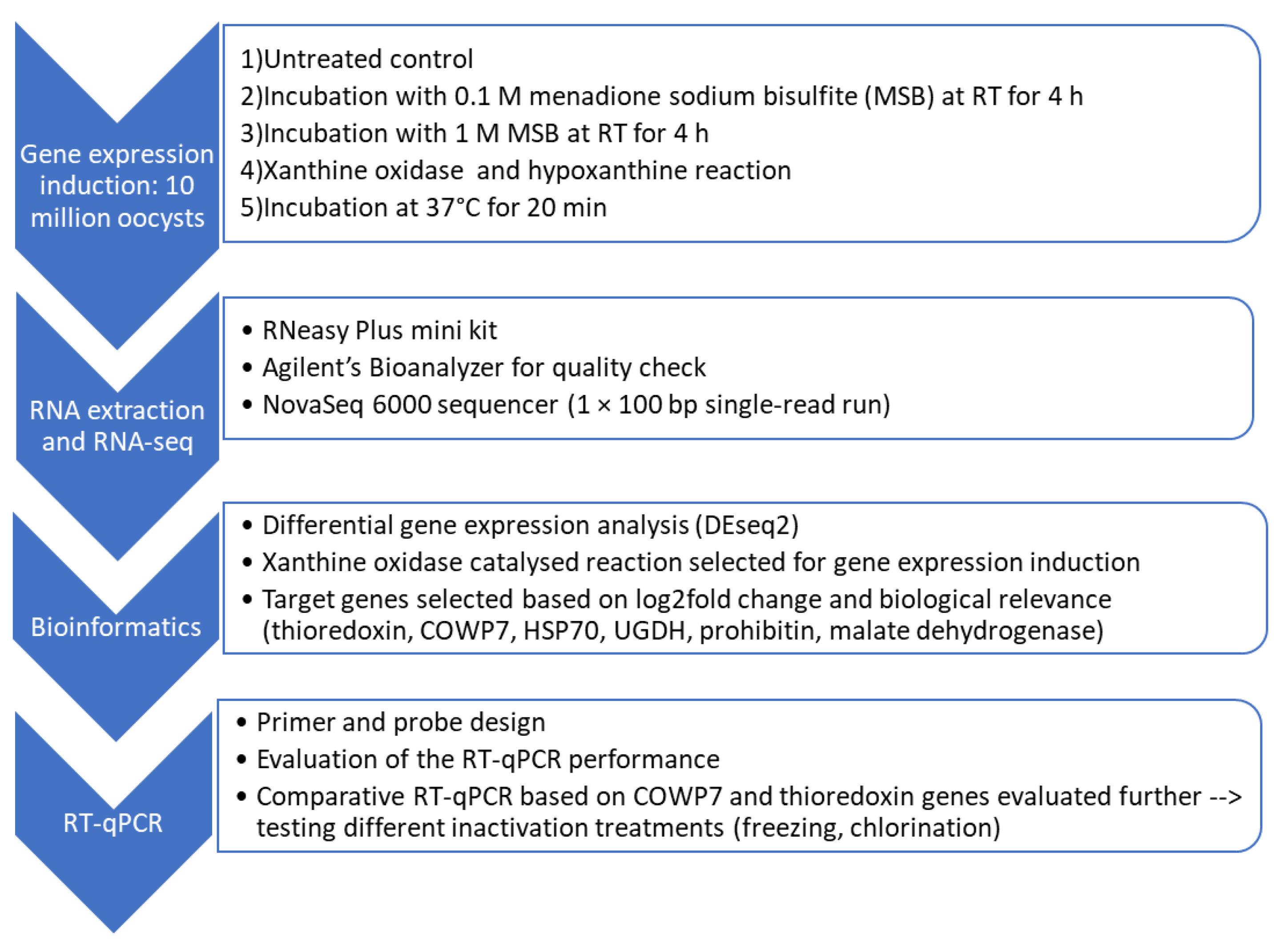 Microorganisms 09 01463 g001 Microorganisms 09 01463 g001