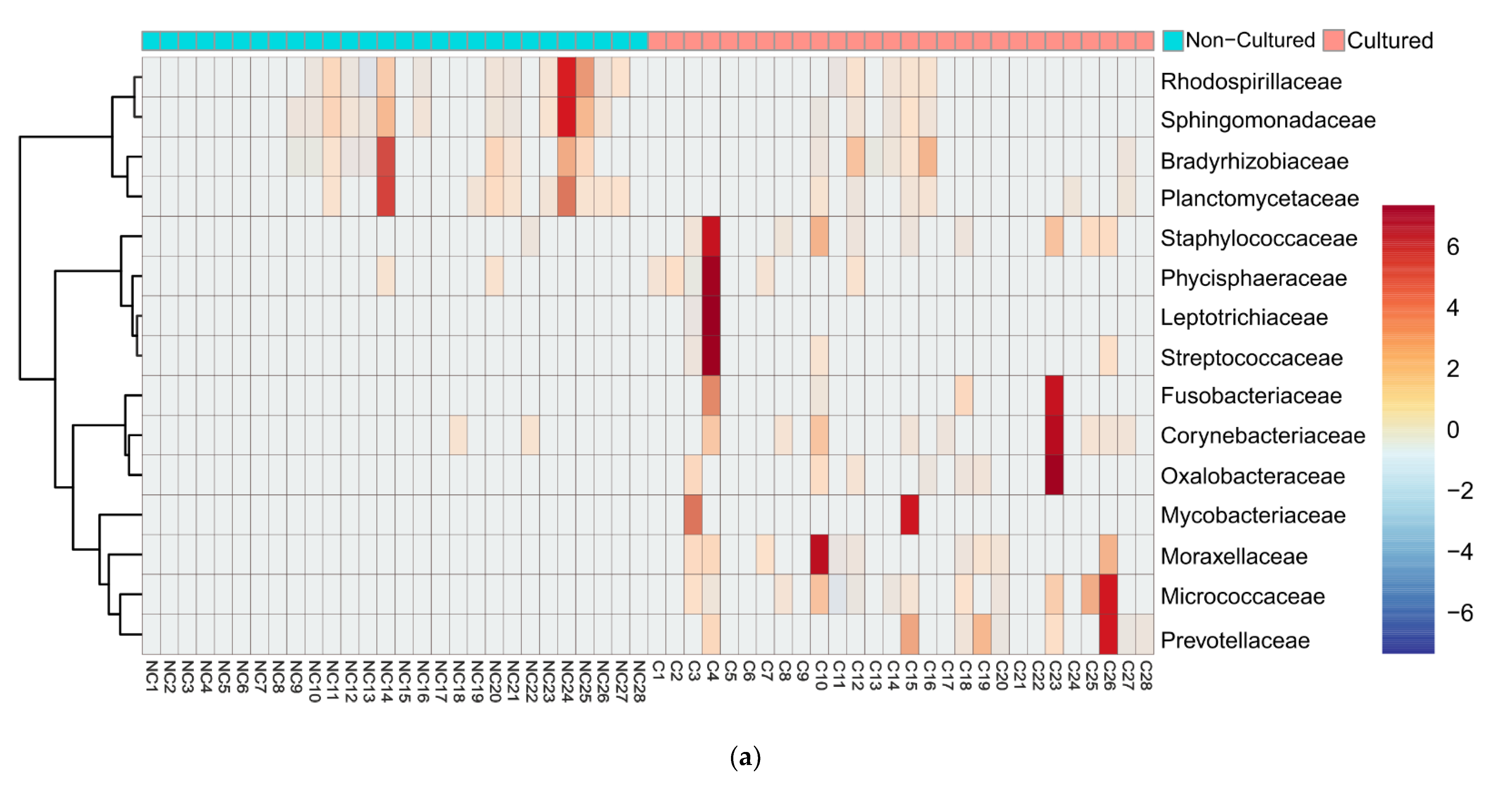 Microorganisms 09 01464 g003a