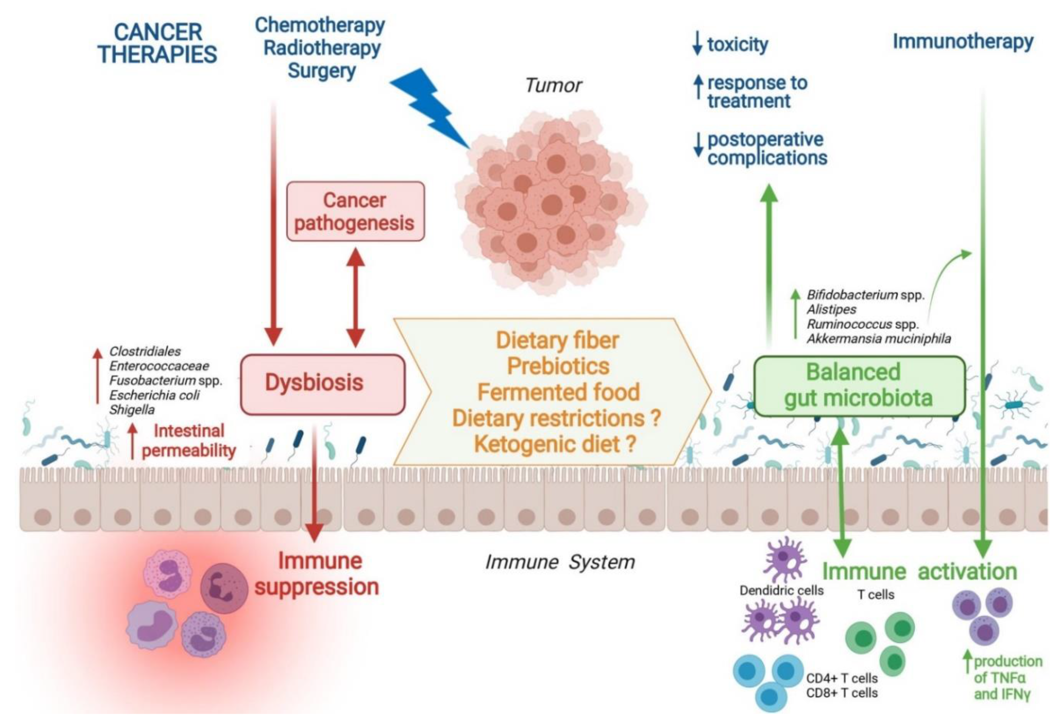 Microorganisms 09 01469 g001