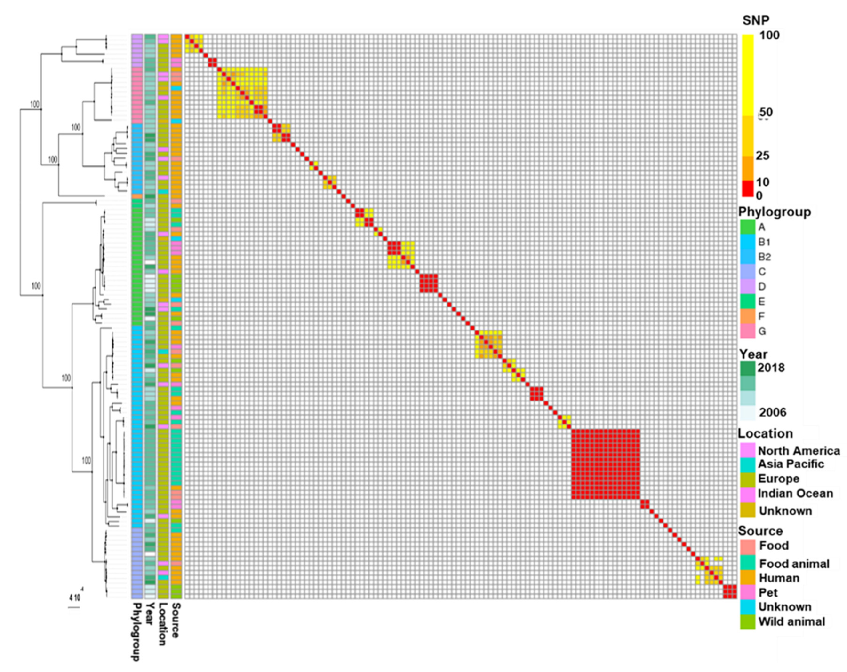 Microorganisms 09 01471 g001