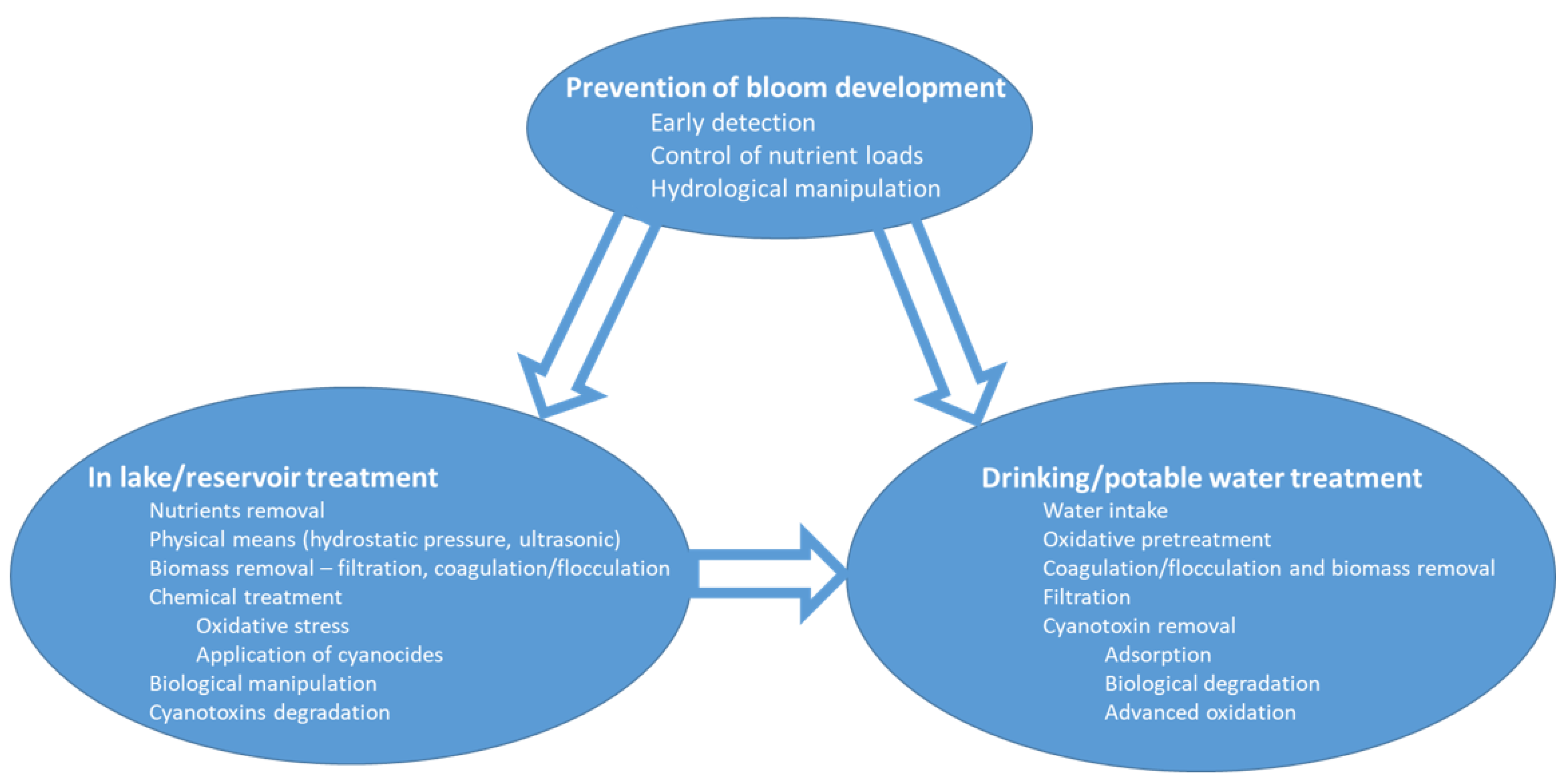 Microorganisms 09 01472 g001