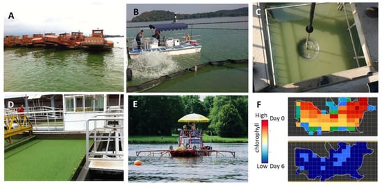 Microorganisms 09 01472 g002