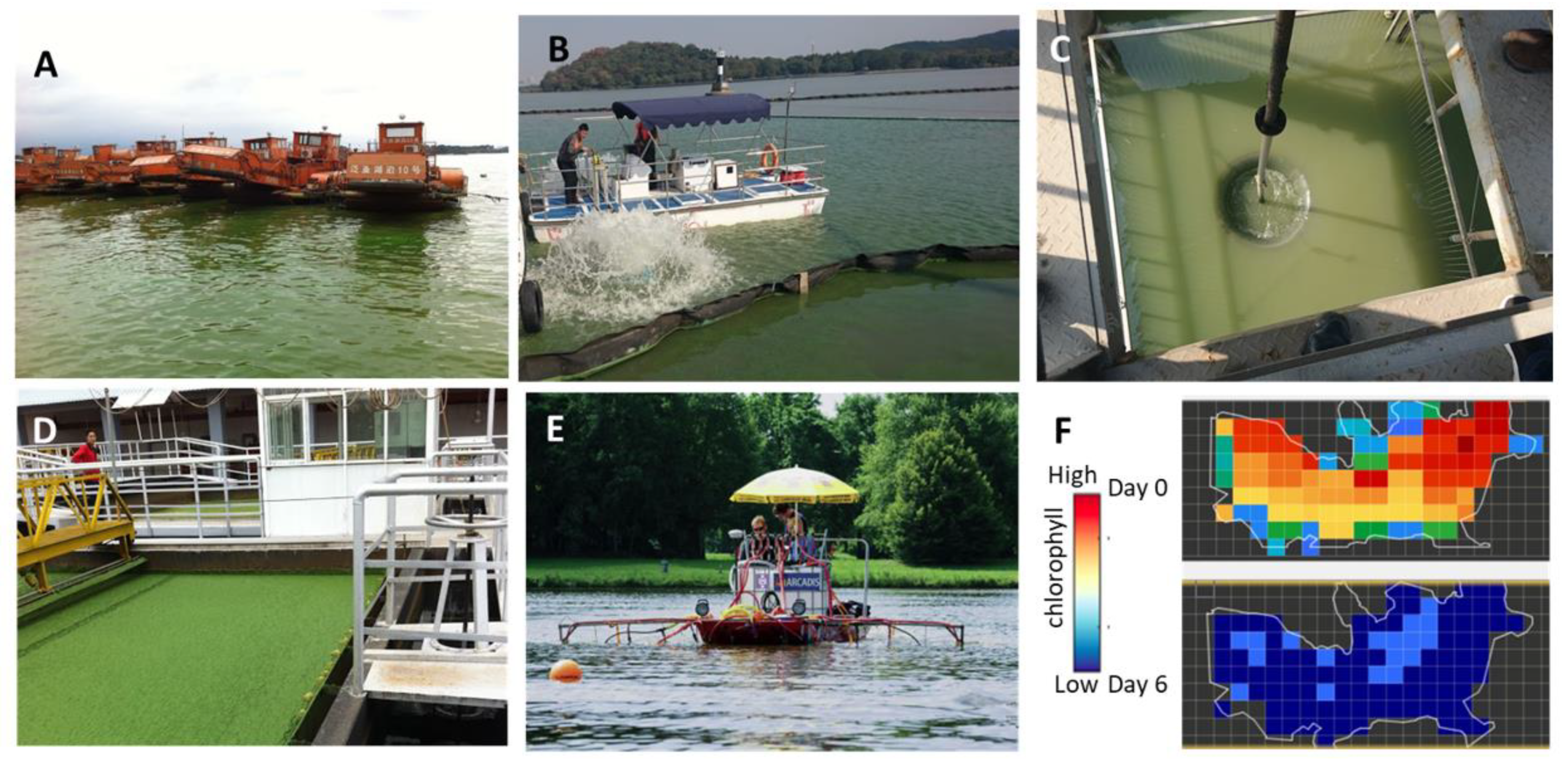 Microorganisms 09 01472 g002