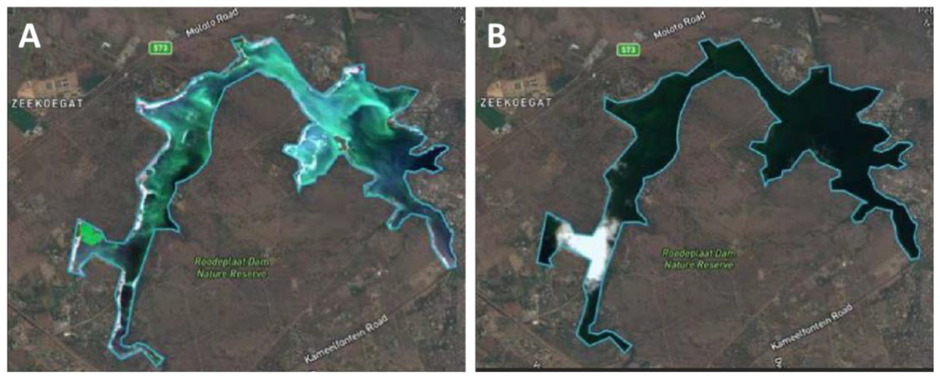 Microorganisms 09 01472 g003