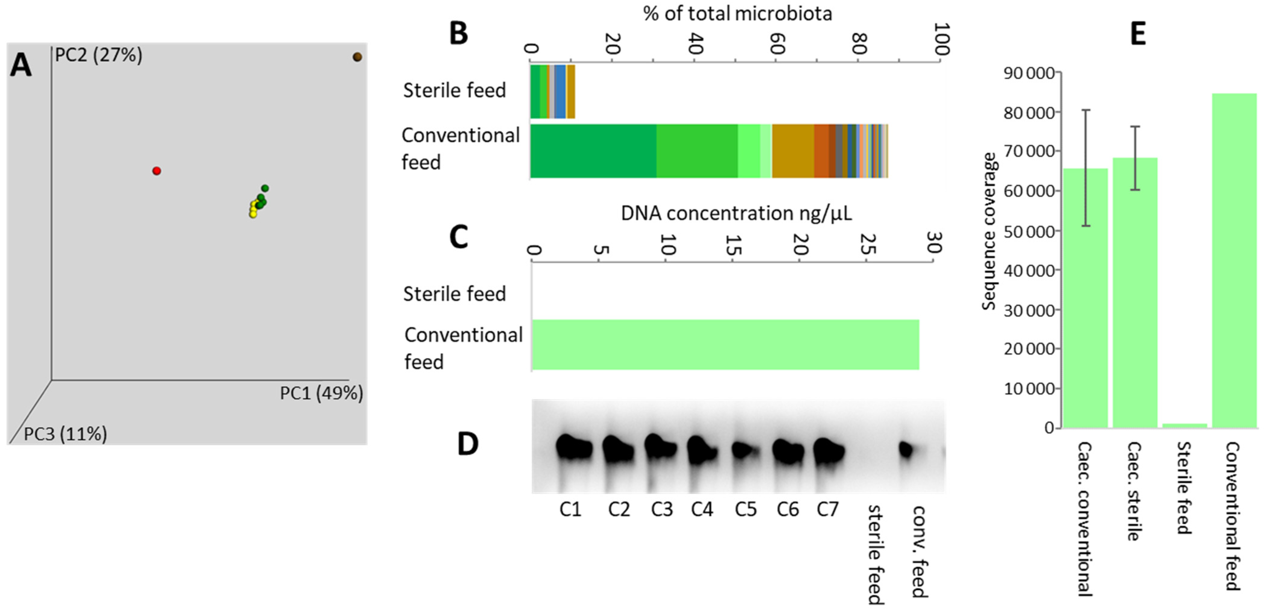 Microorganisms 09 01480 g003