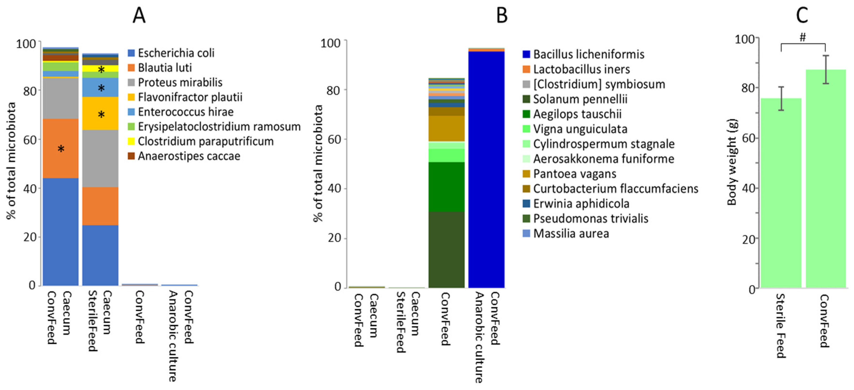 Microorganisms 09 01480 g004
