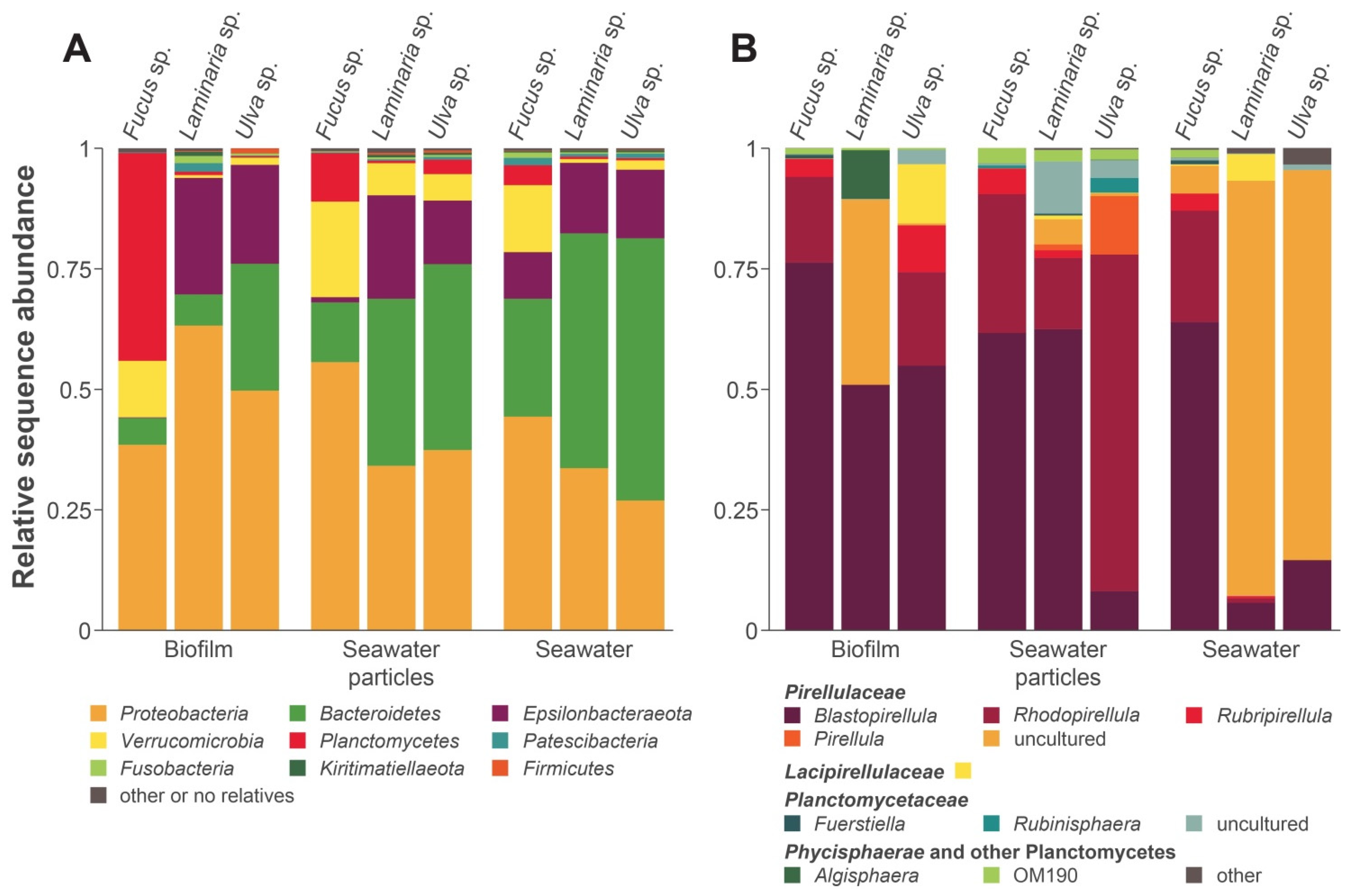 Microorganisms 09 01494 g001