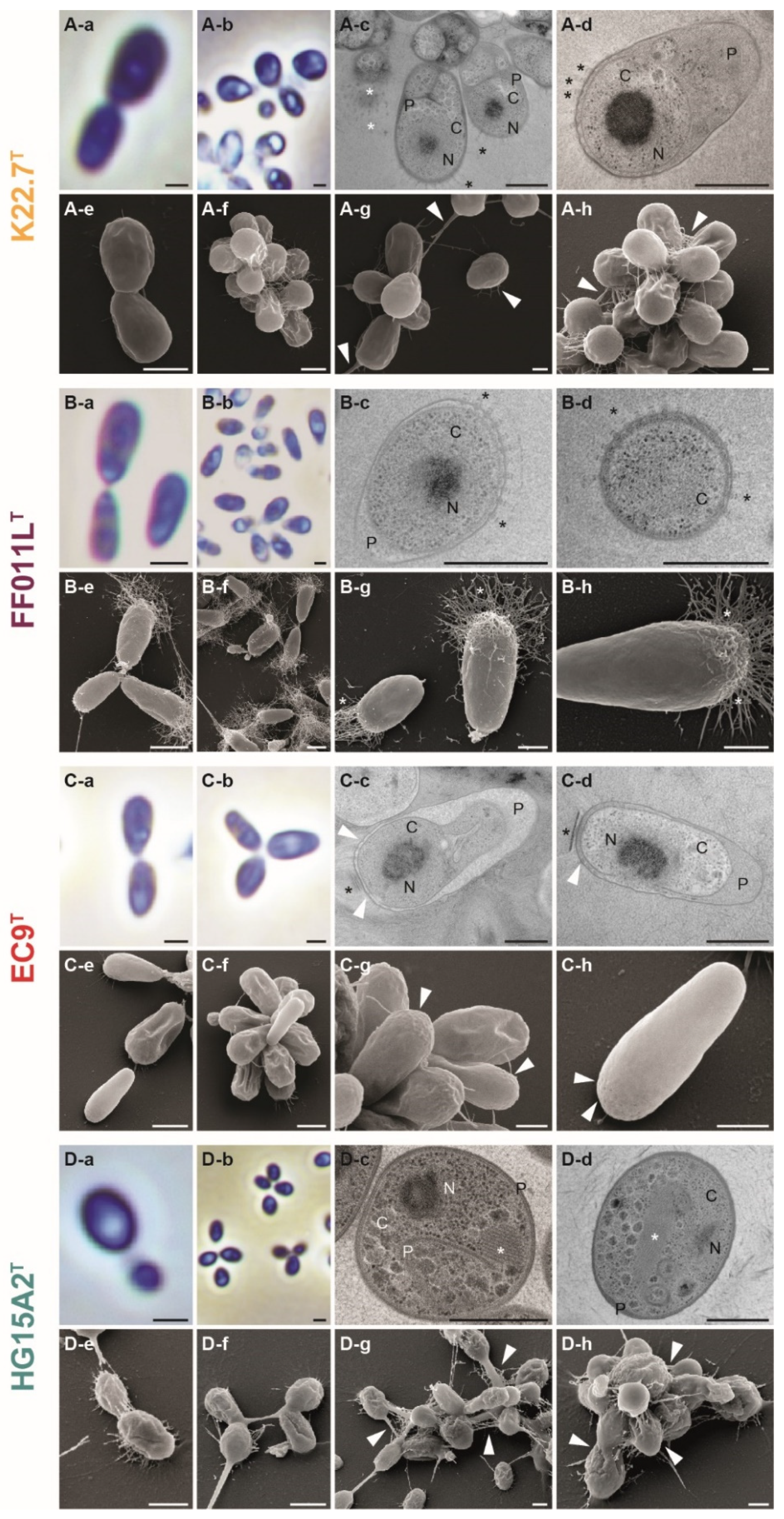 Microorganisms 09 01494 g007