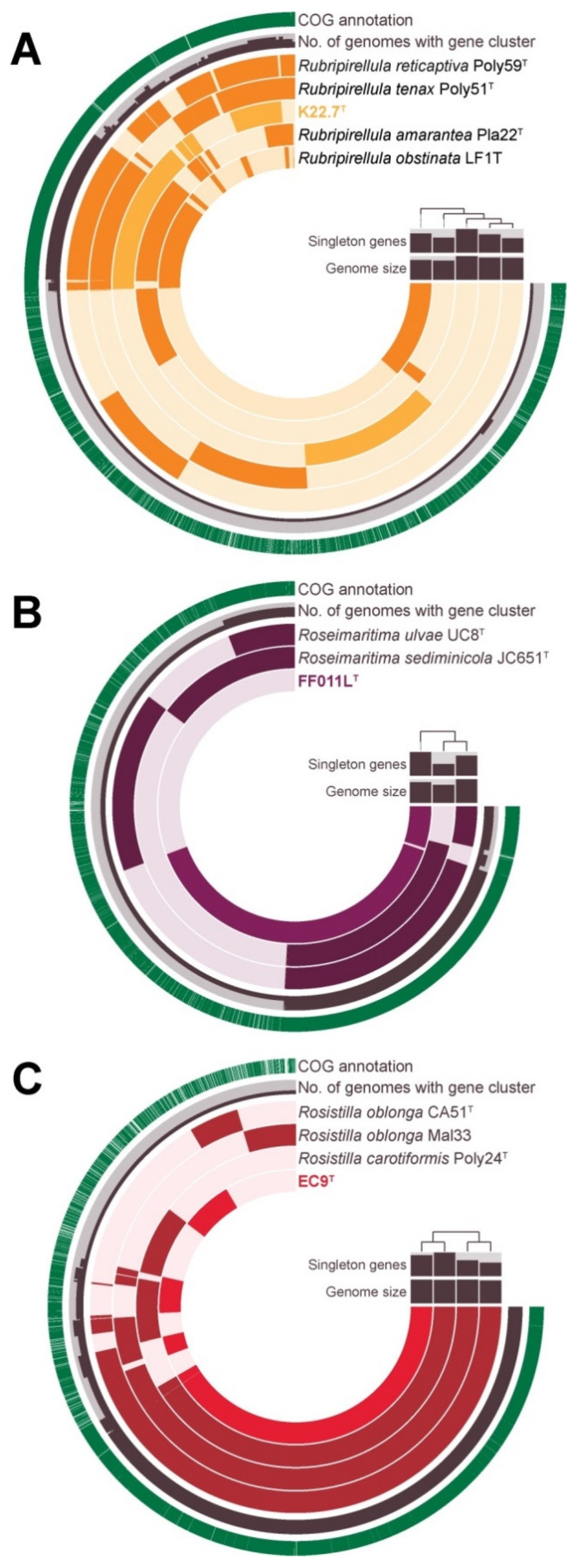 Microorganisms 09 01494 g009