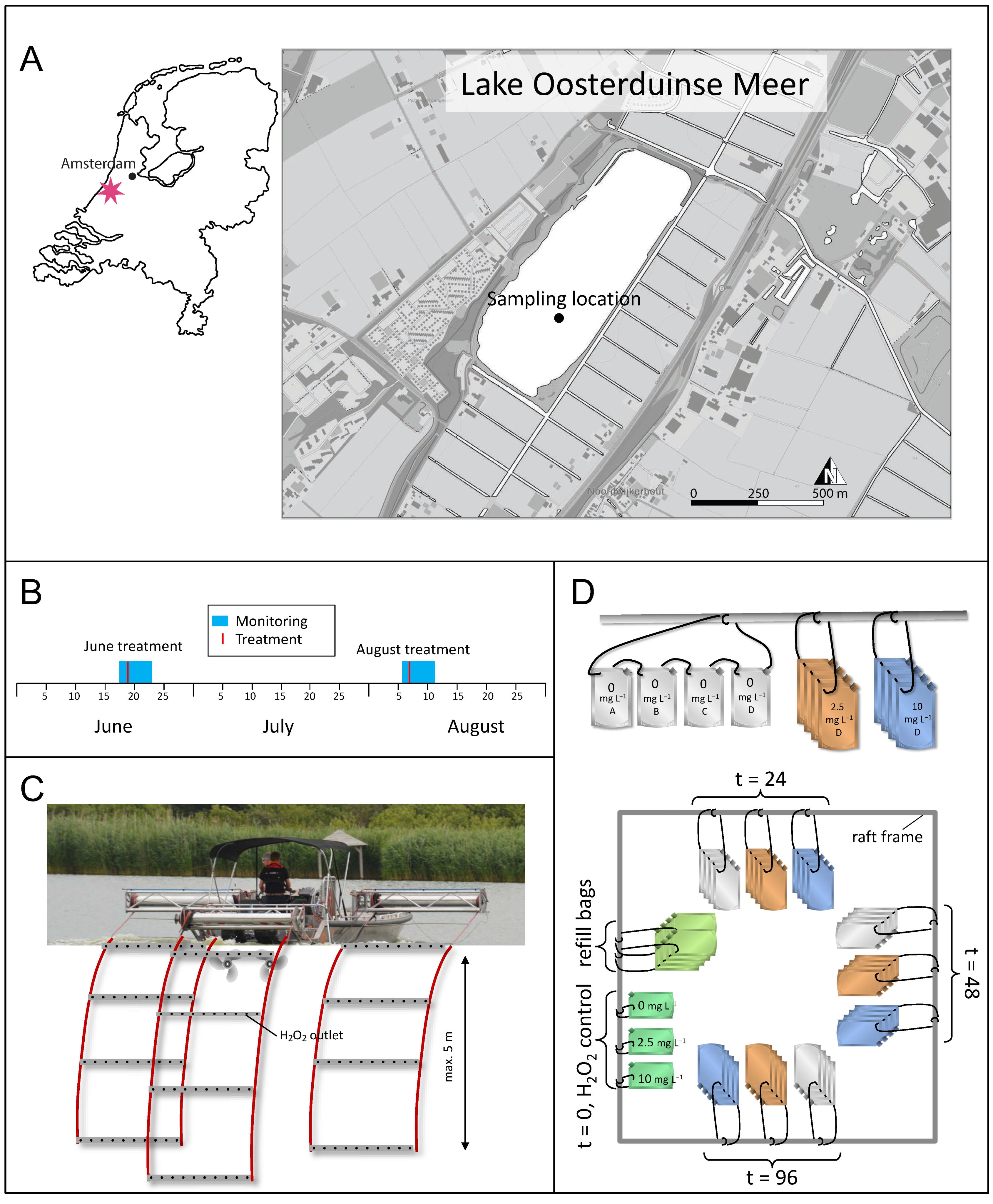 Microorganisms 09 01495 g001
