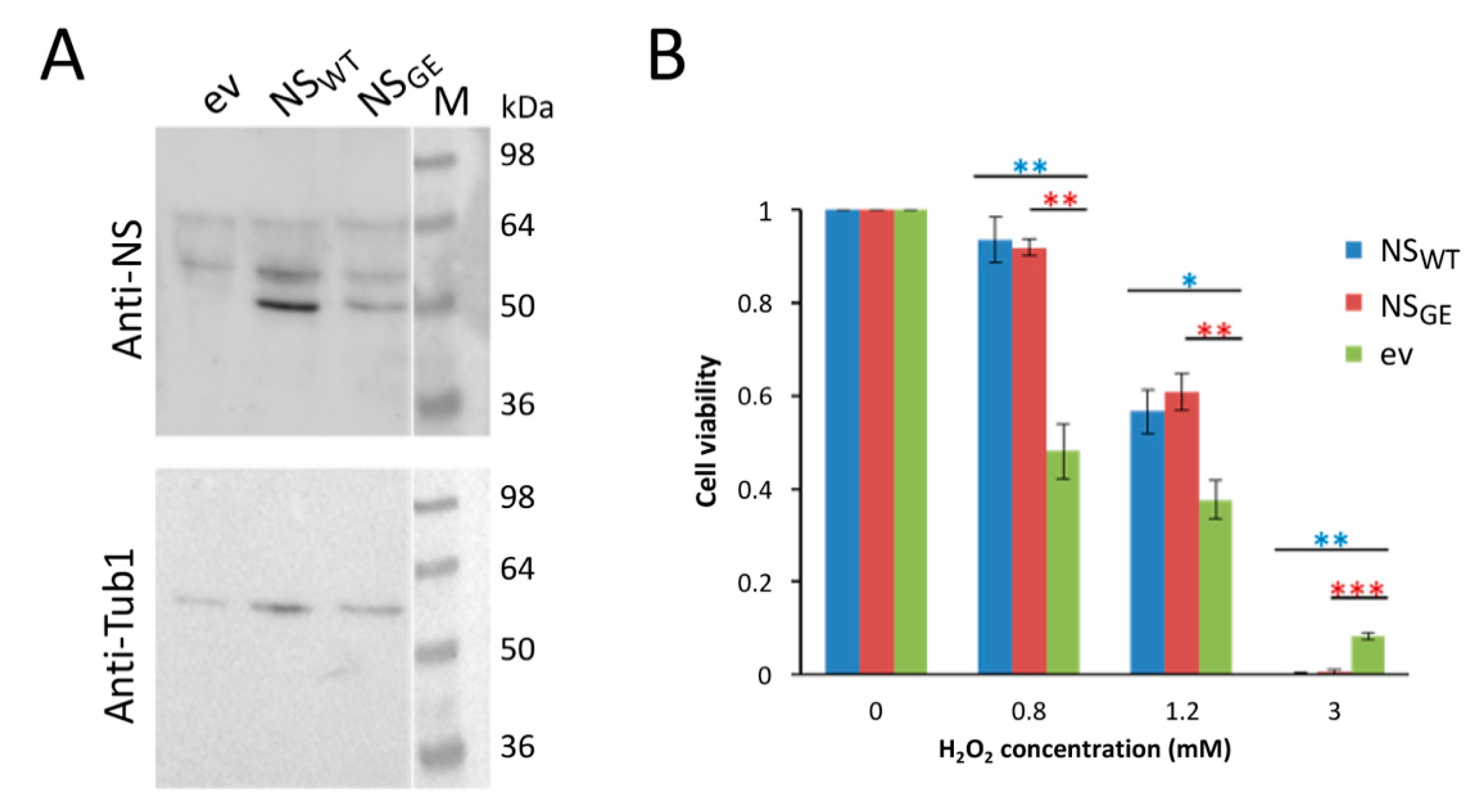 Microorganisms 09 01498 g002