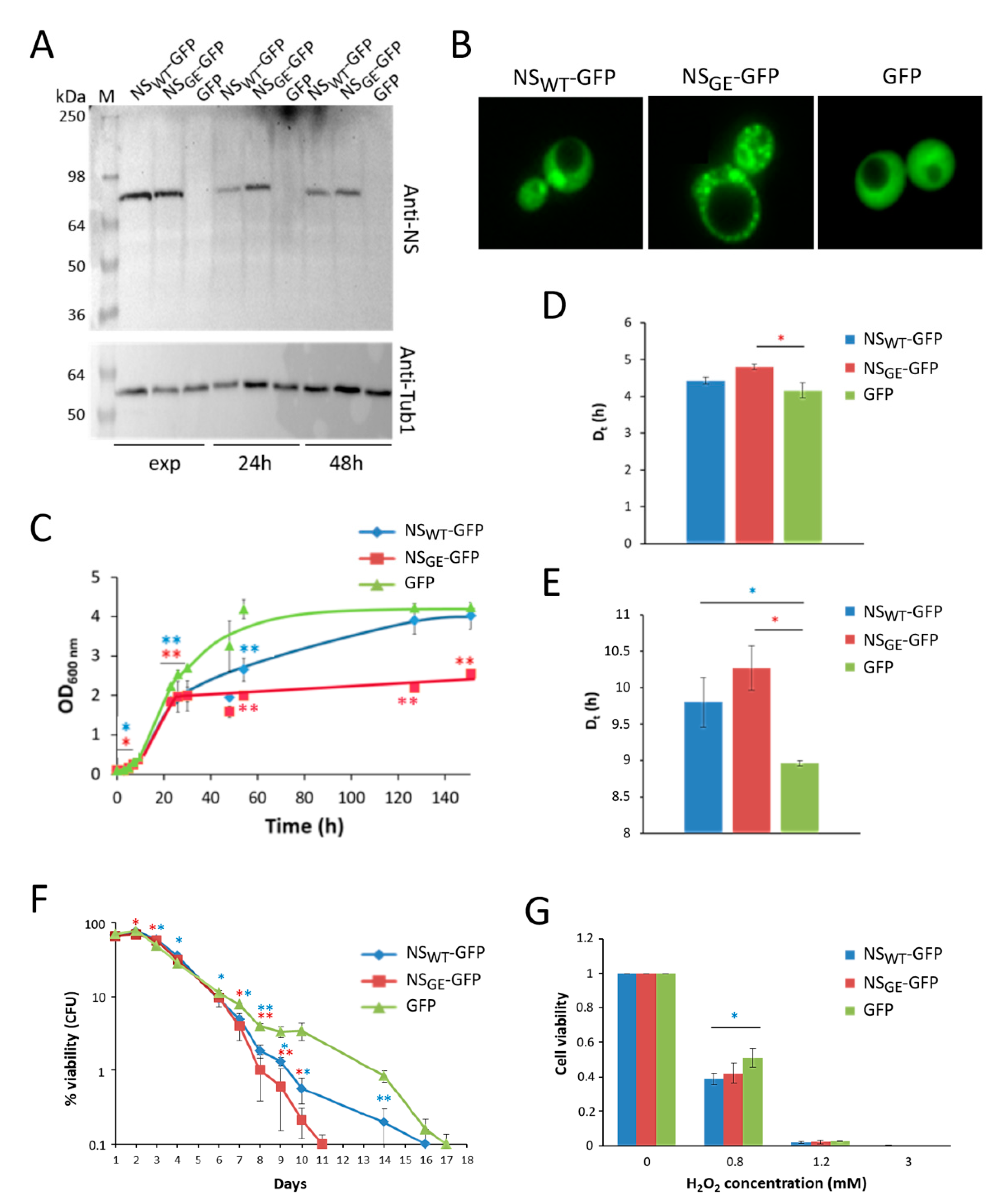Microorganisms 09 01498 g004