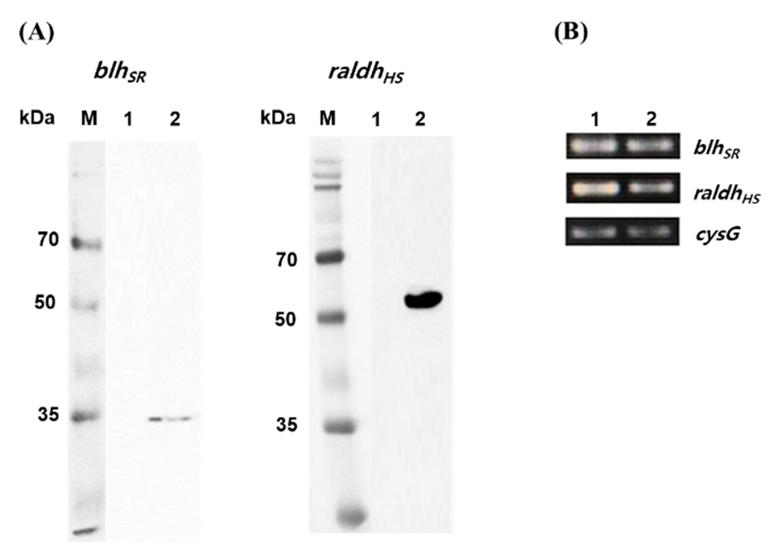 Microorganisms 09 01520 g002