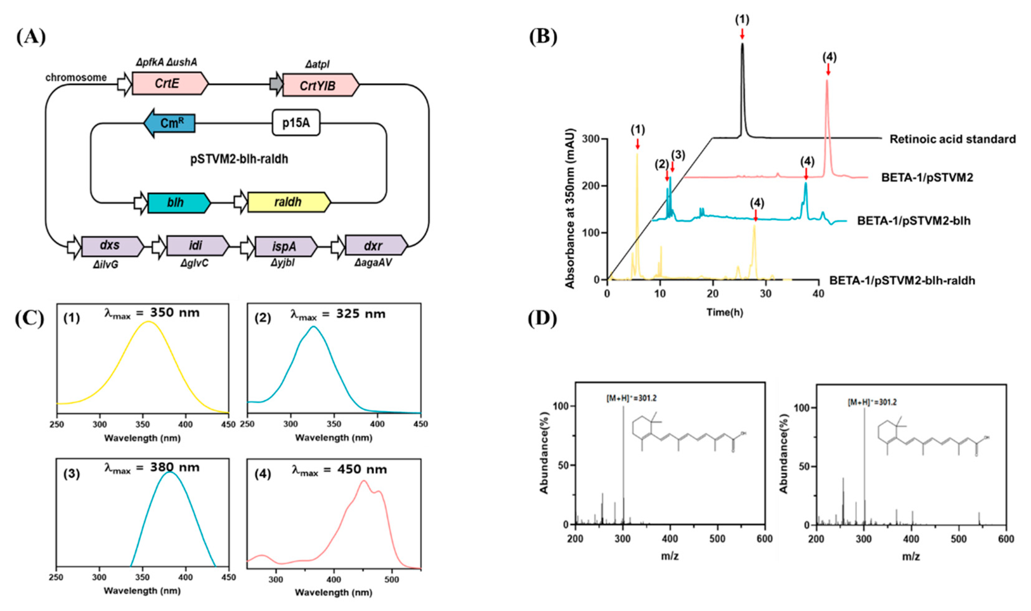 Microorganisms 09 01520 g003