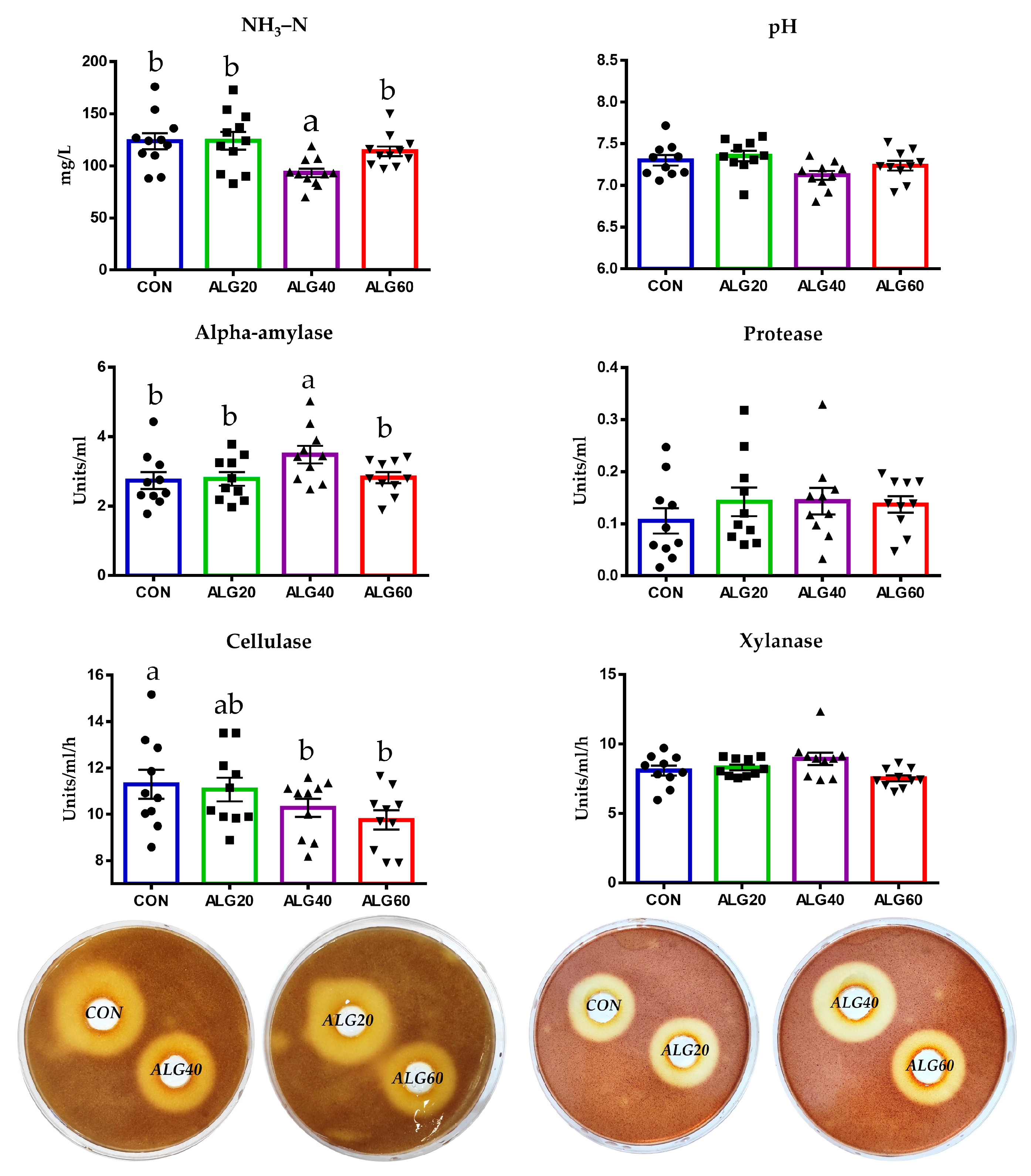 Microorganisms 09 01528 g008