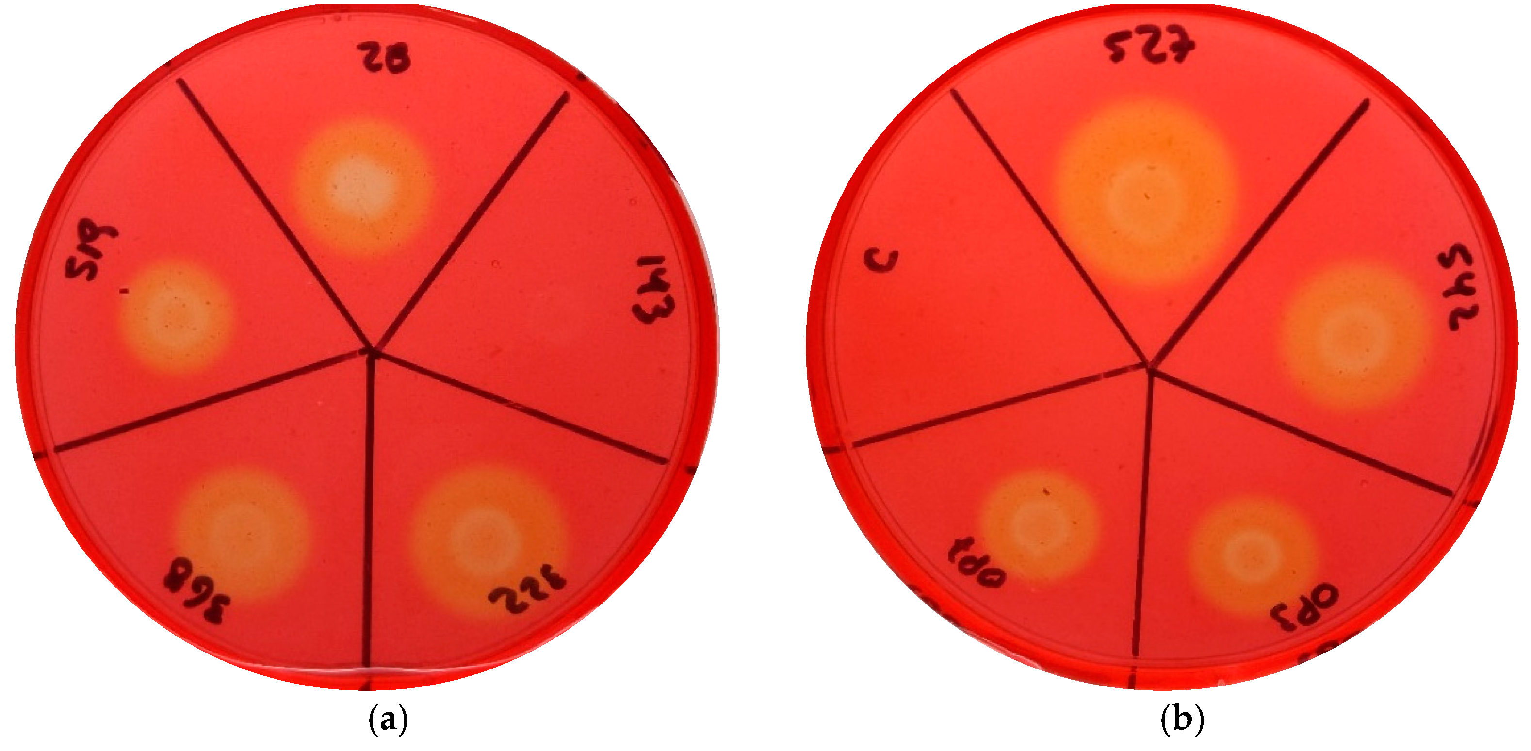 Microorganisms 09 01530 g003 Microorganisms 09 01530 g003