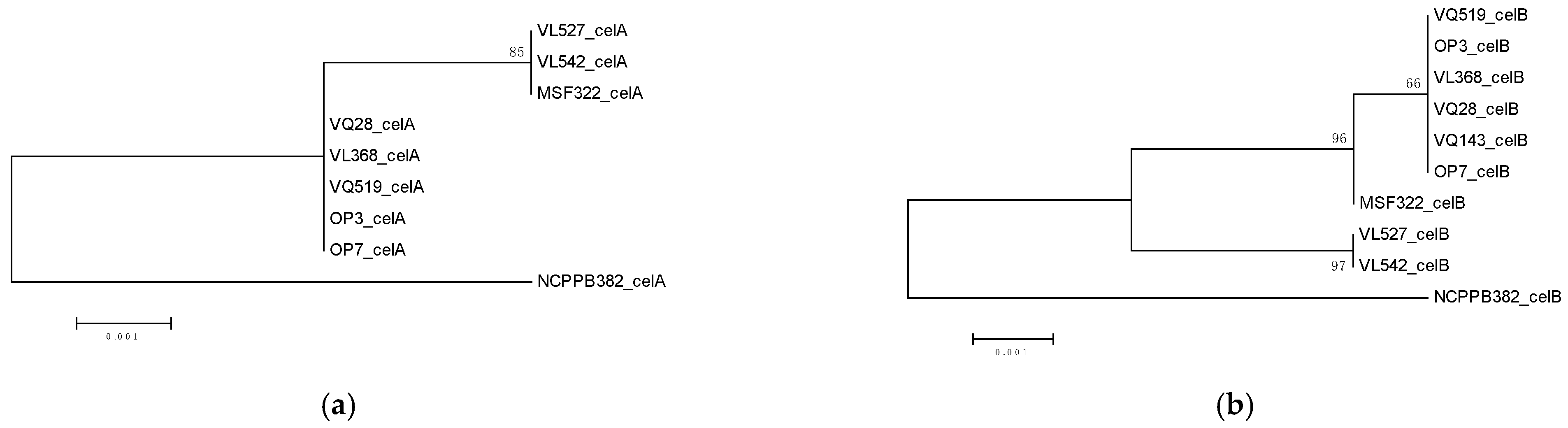Microorganisms 09 01530 g004a Microorganisms 09 01530 g004a
