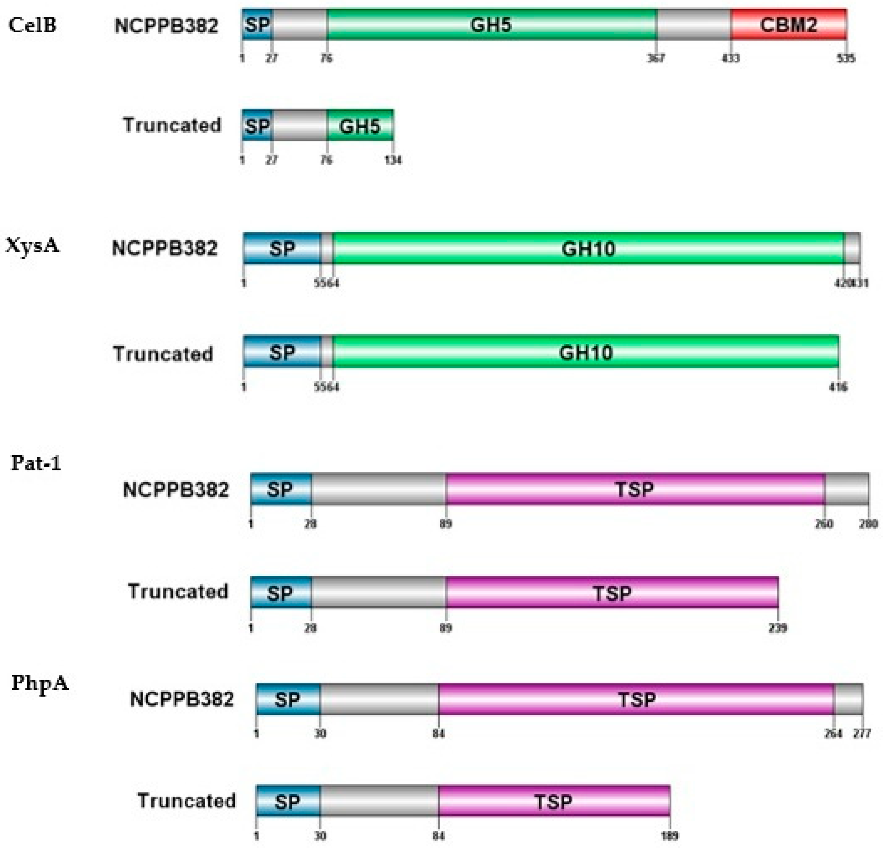 Microorganisms 09 01530 g005 Microorganisms 09 01530 g005
