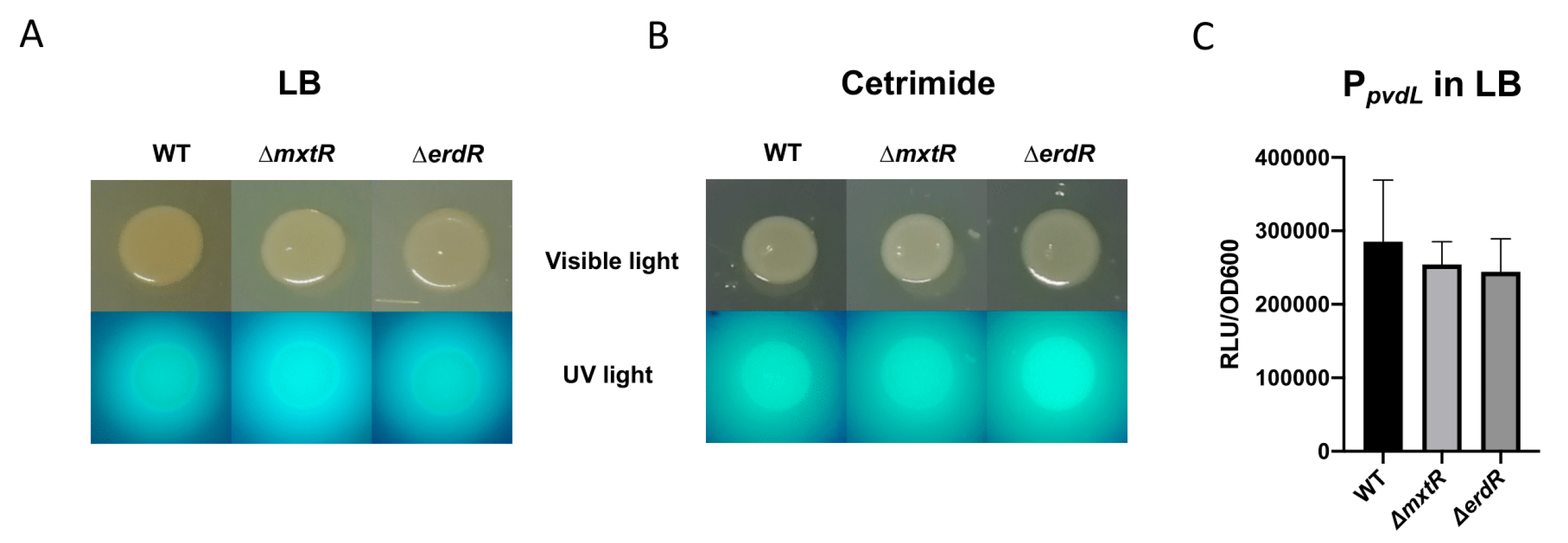 Microorganisms 09 01558 g002a