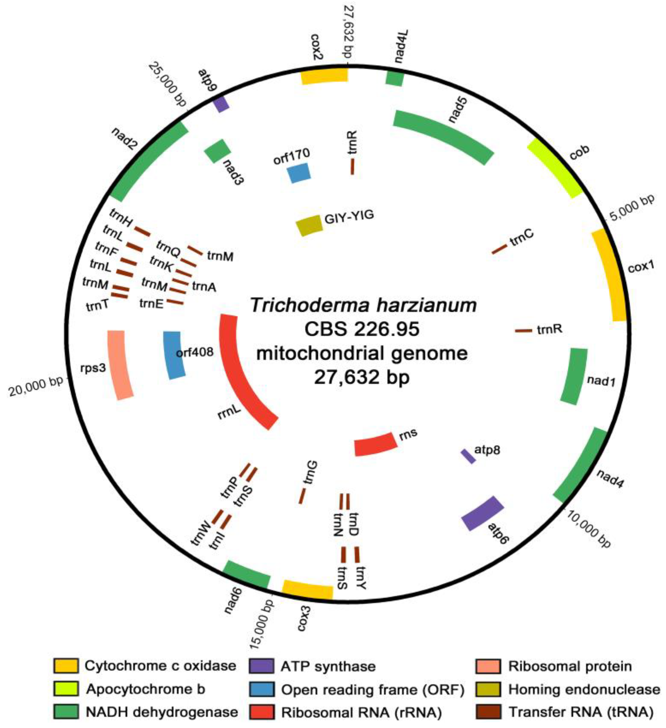 Microorganisms 09 01564 g001