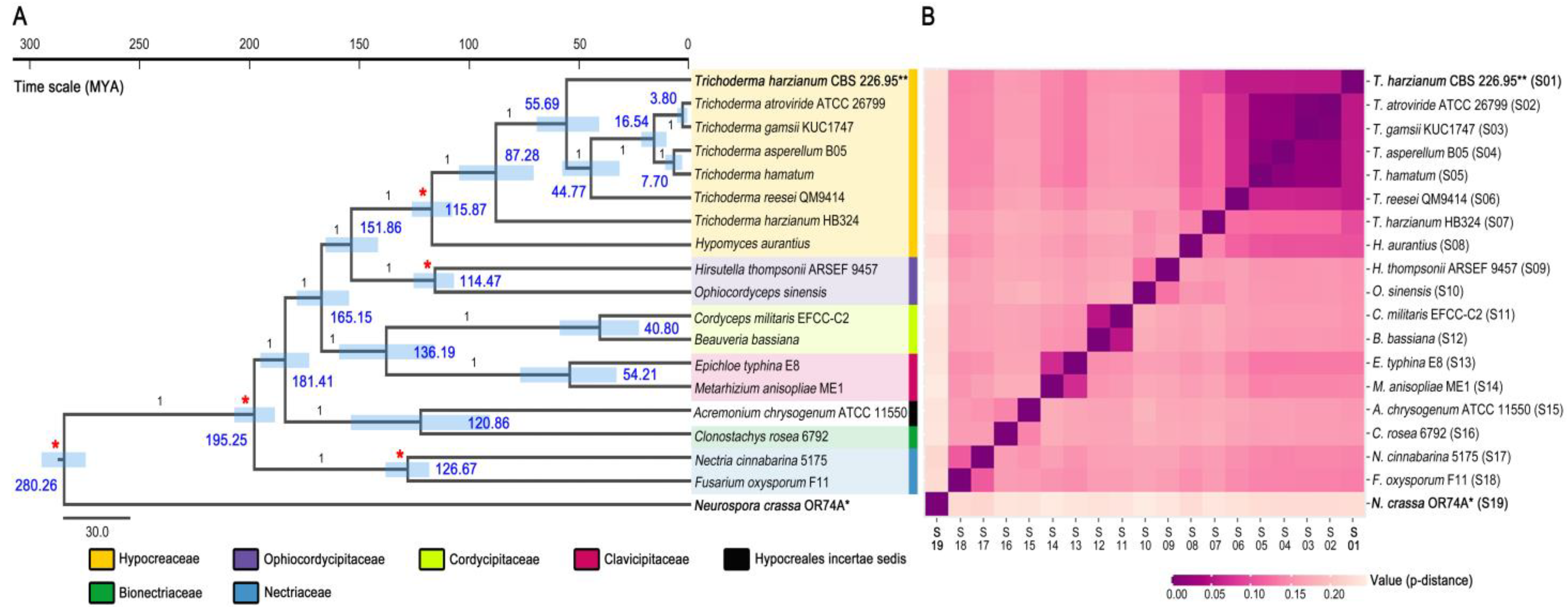 Microorganisms 09 01564 g004