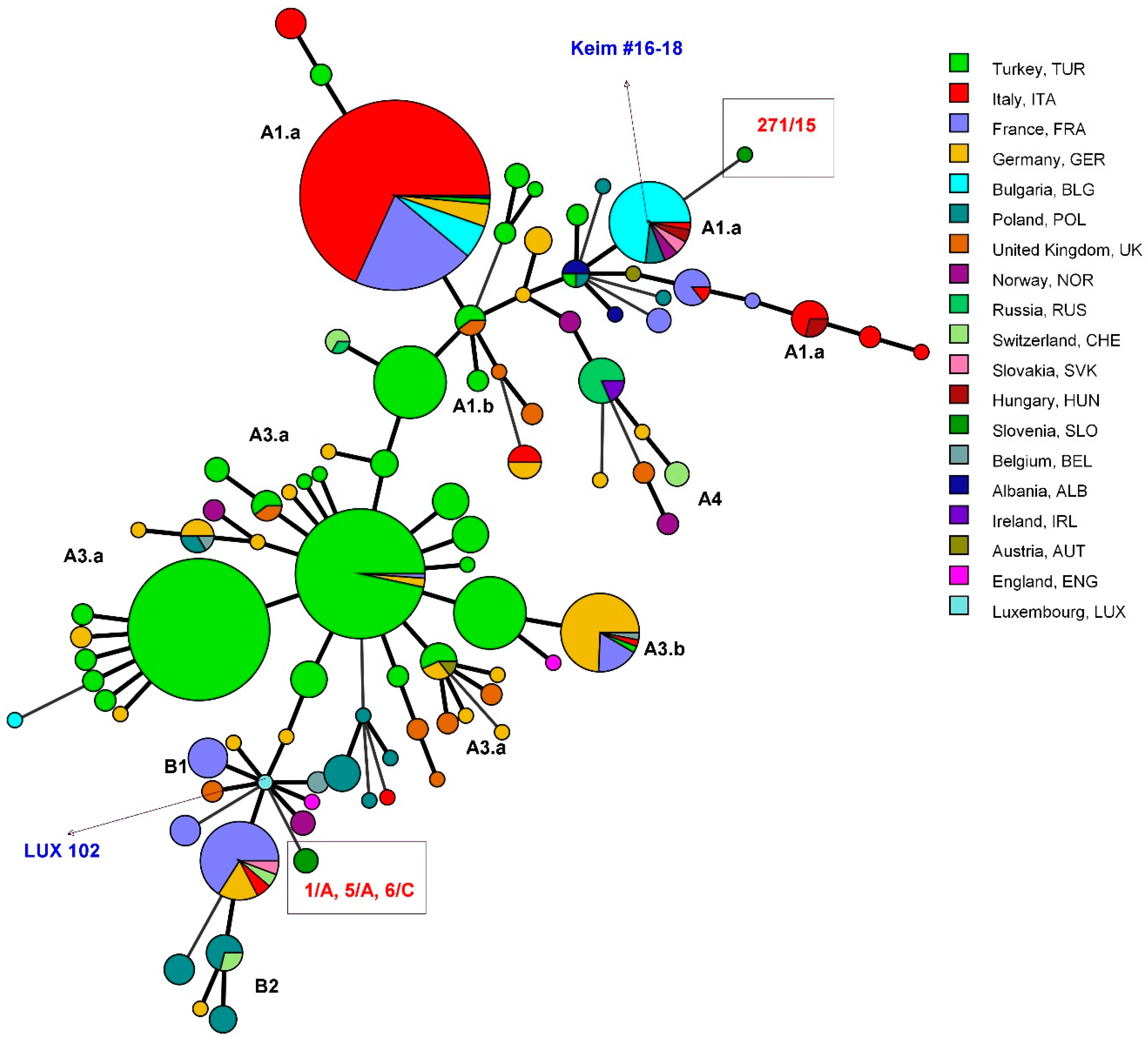 Microorganisms 09 01567 g001