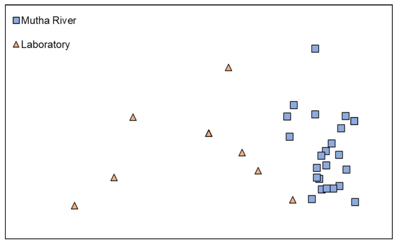 Microorganisms 09 01571 g004
