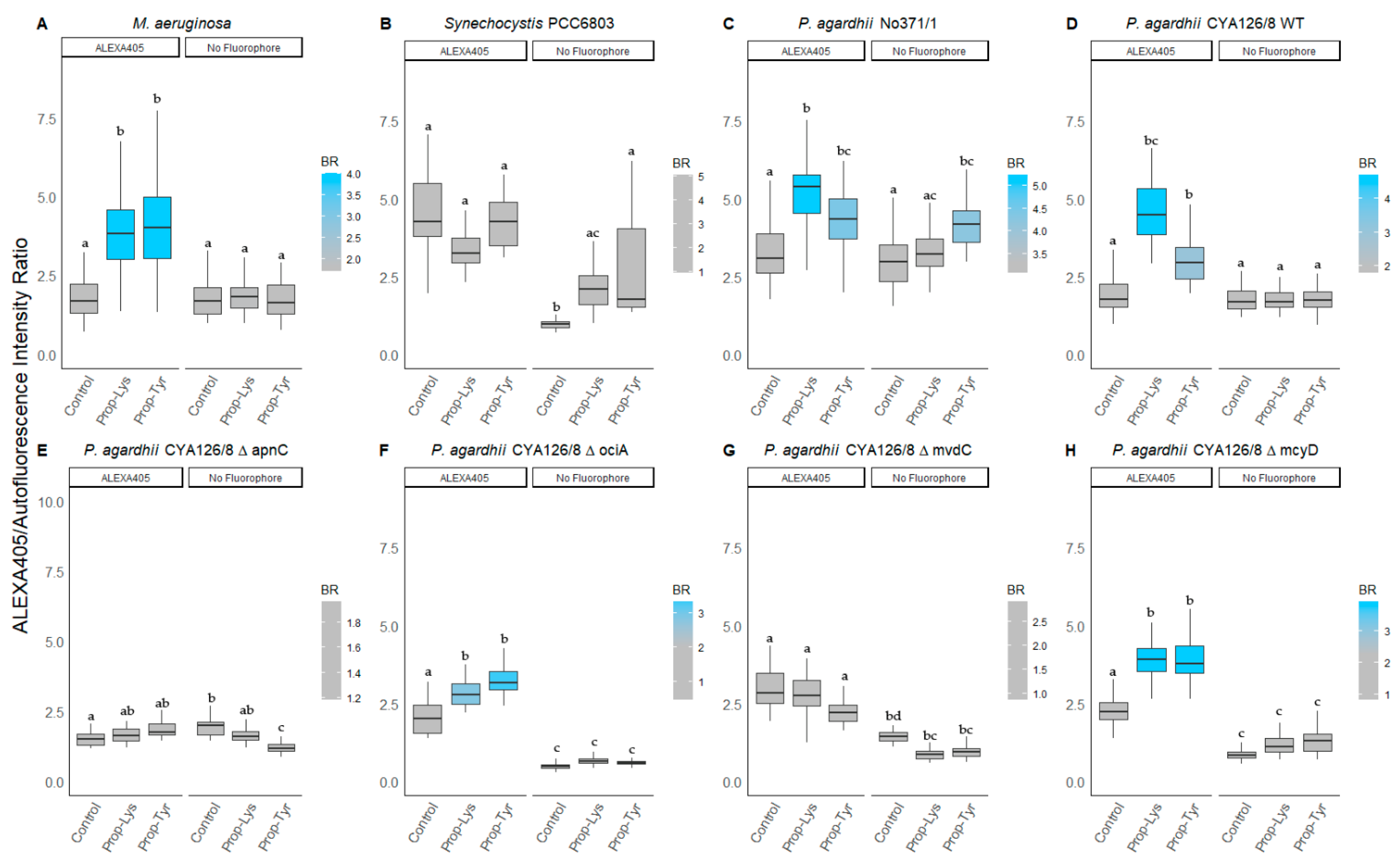 Microorganisms 09 01578 g004