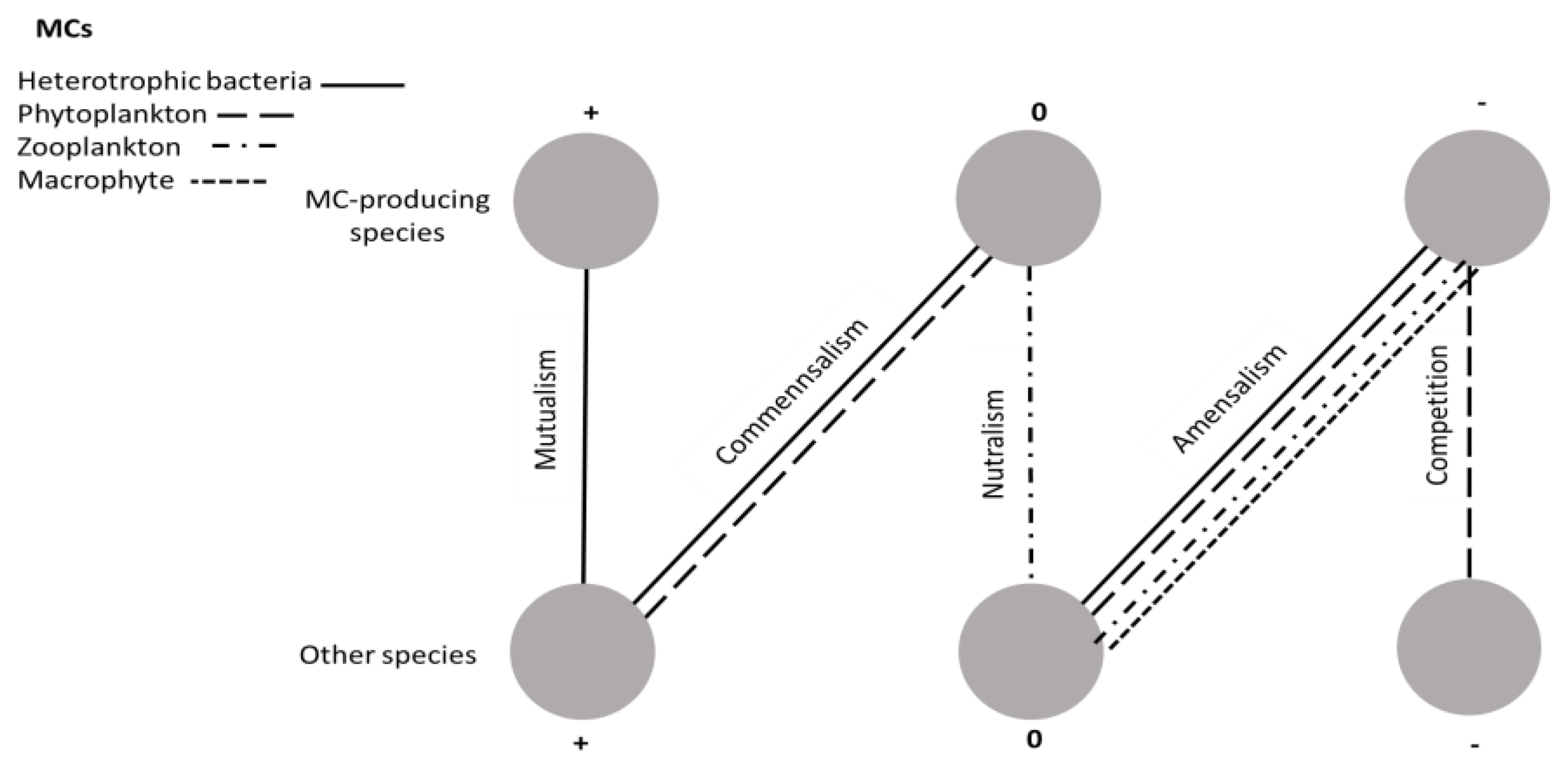 Microorganisms 09 01583 g002