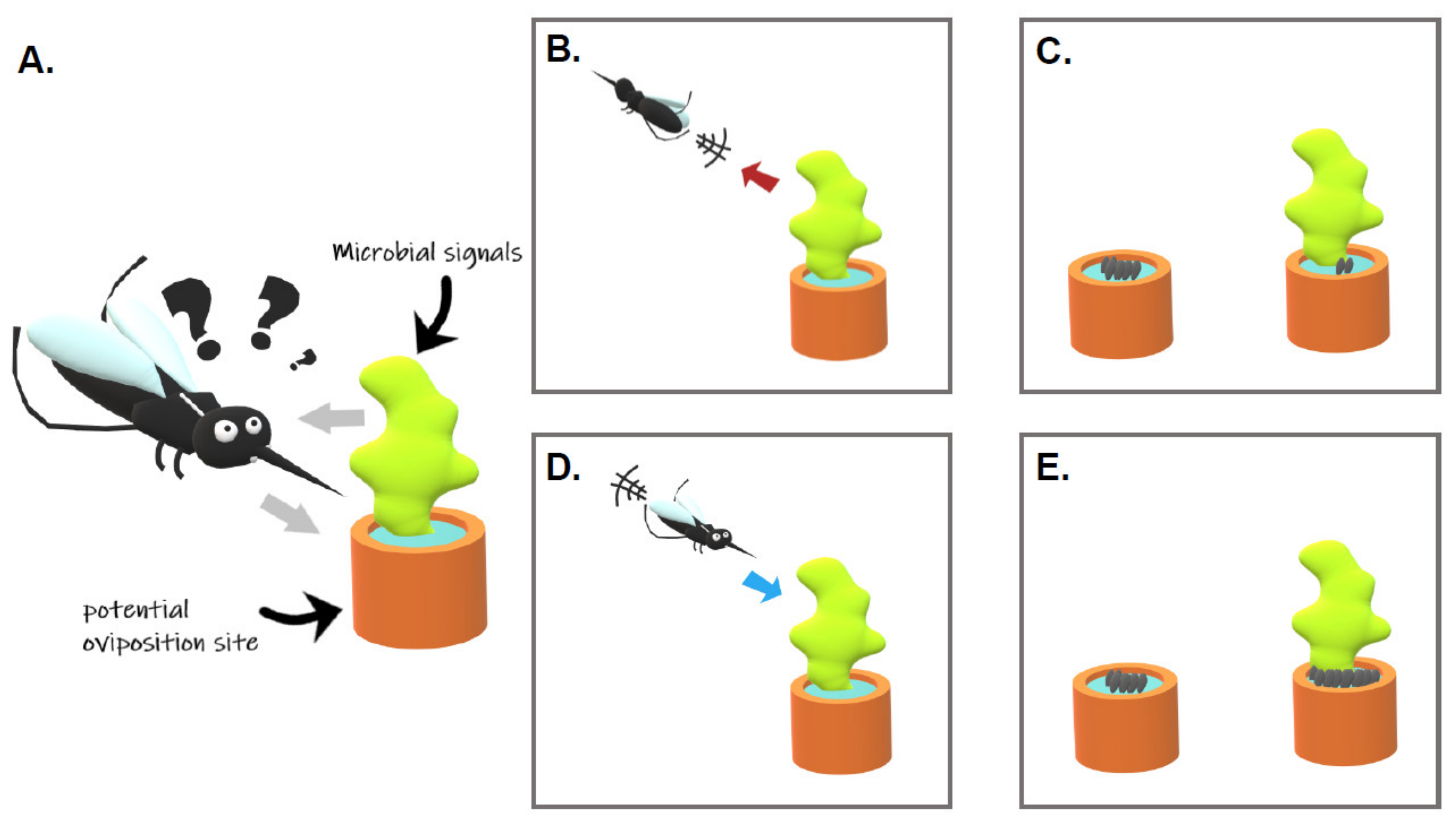 Microorganisms 09 01589 g001