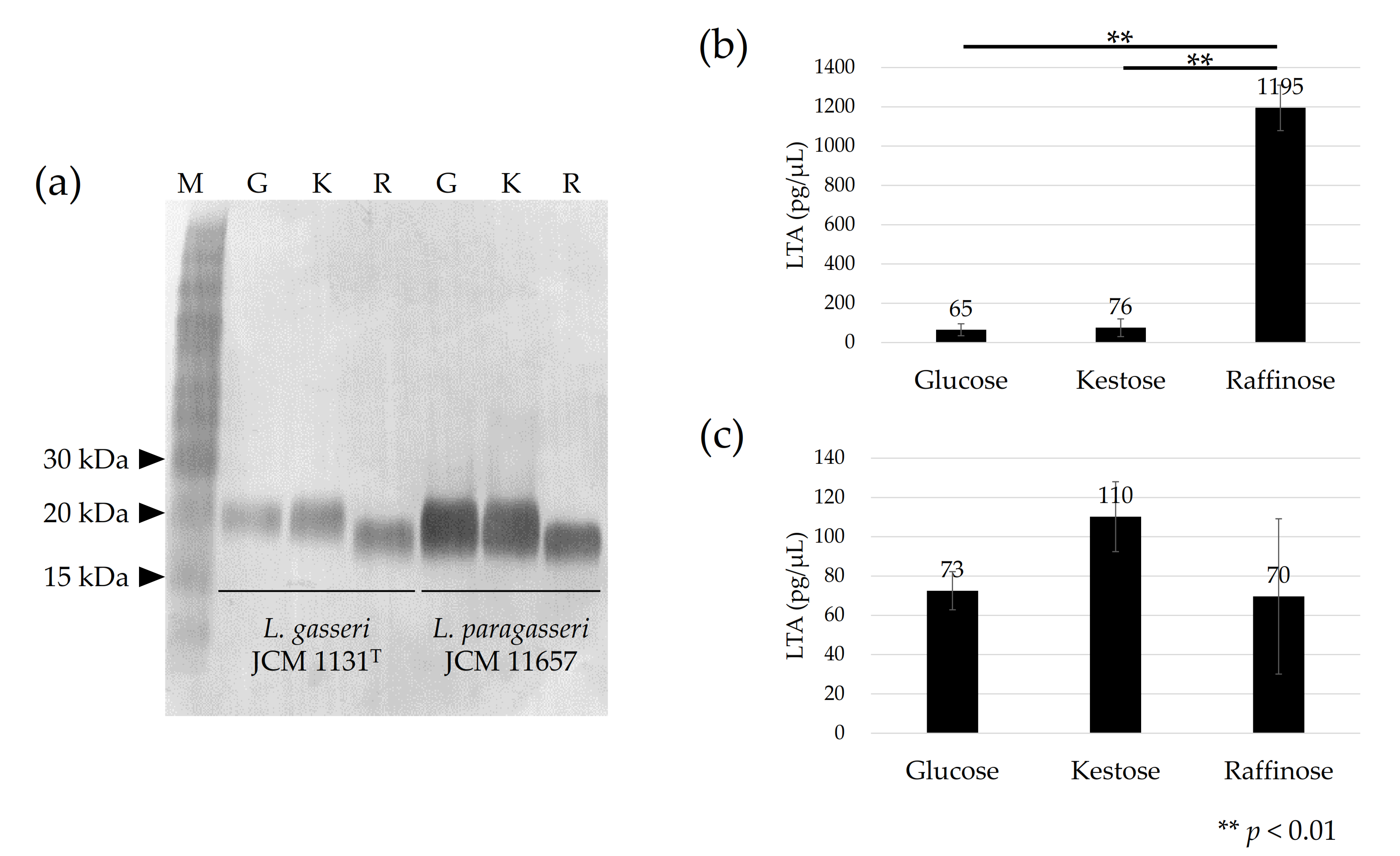 Microorganisms 09 01590 g002