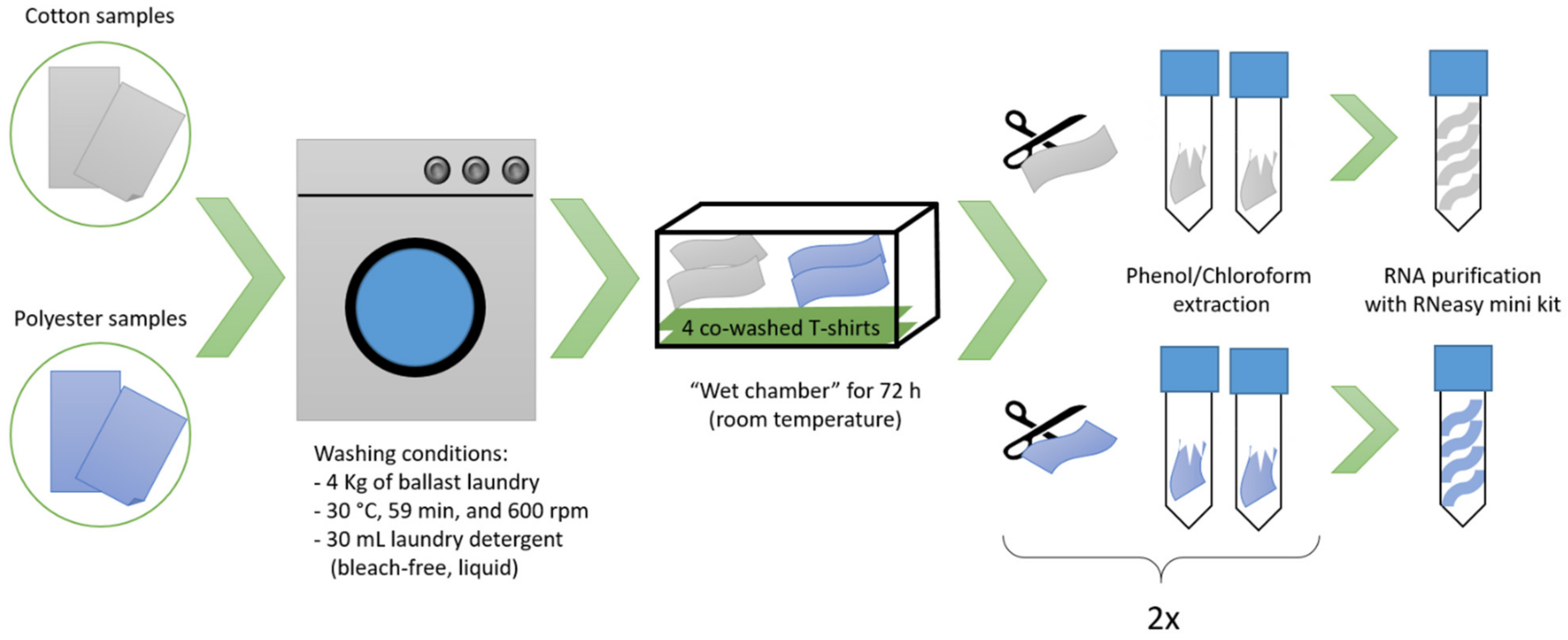 Microorganisms 09 01591 g001