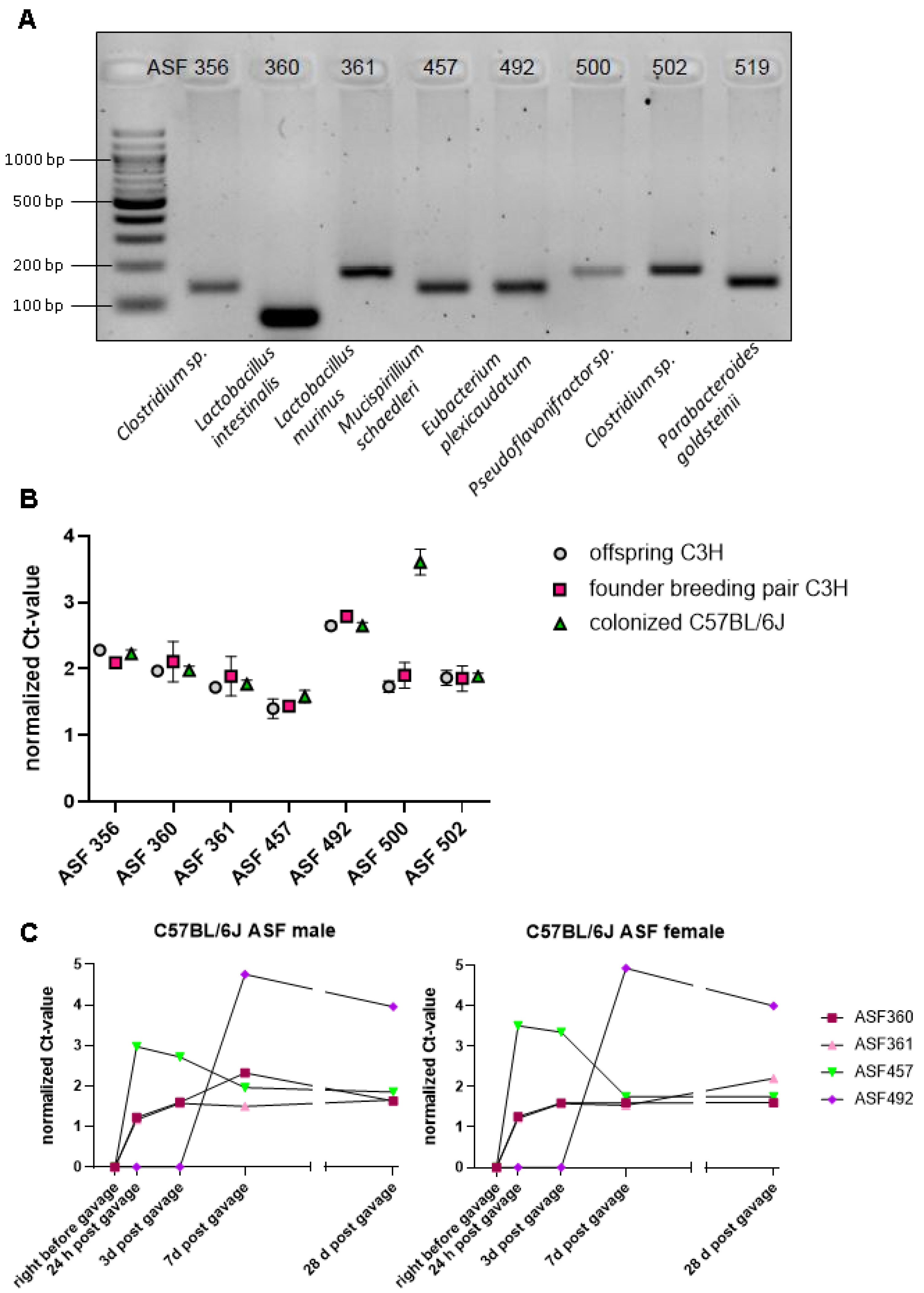 Microorganisms 09 01601 g001