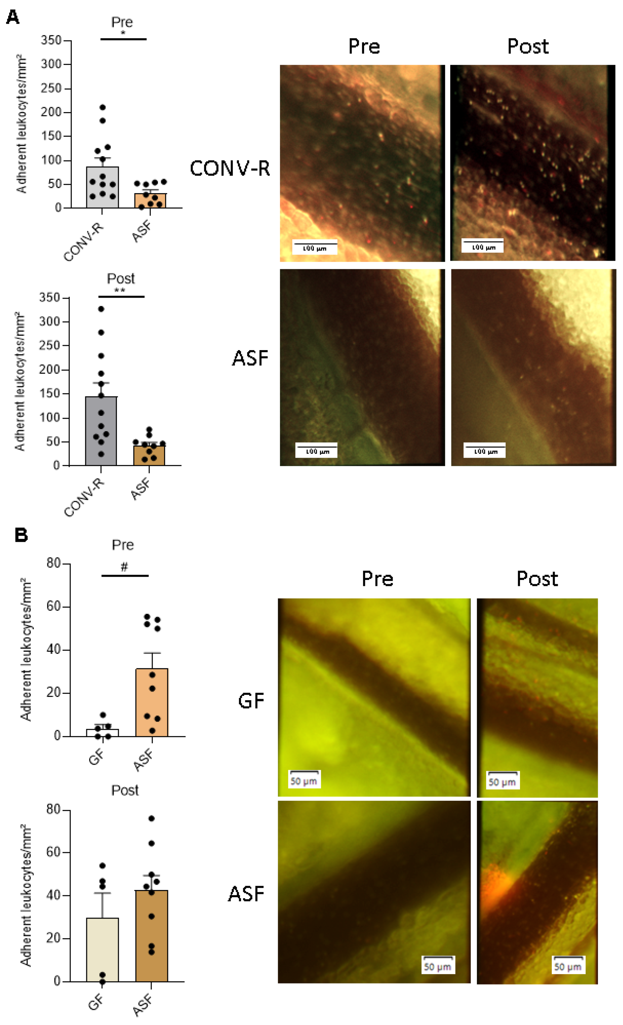 Microorganisms 09 01601 g002