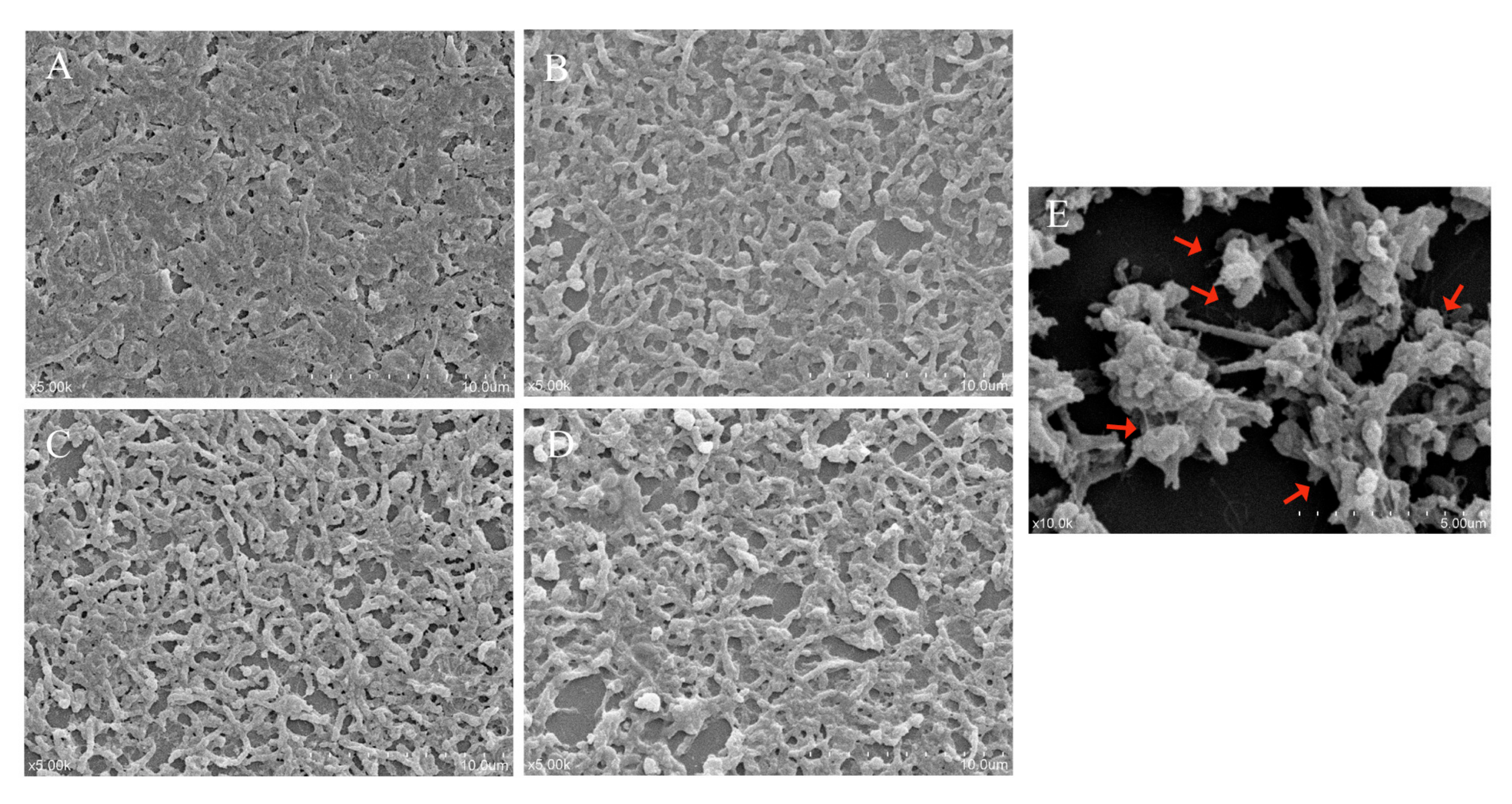 Microorganisms 09 01611 g005