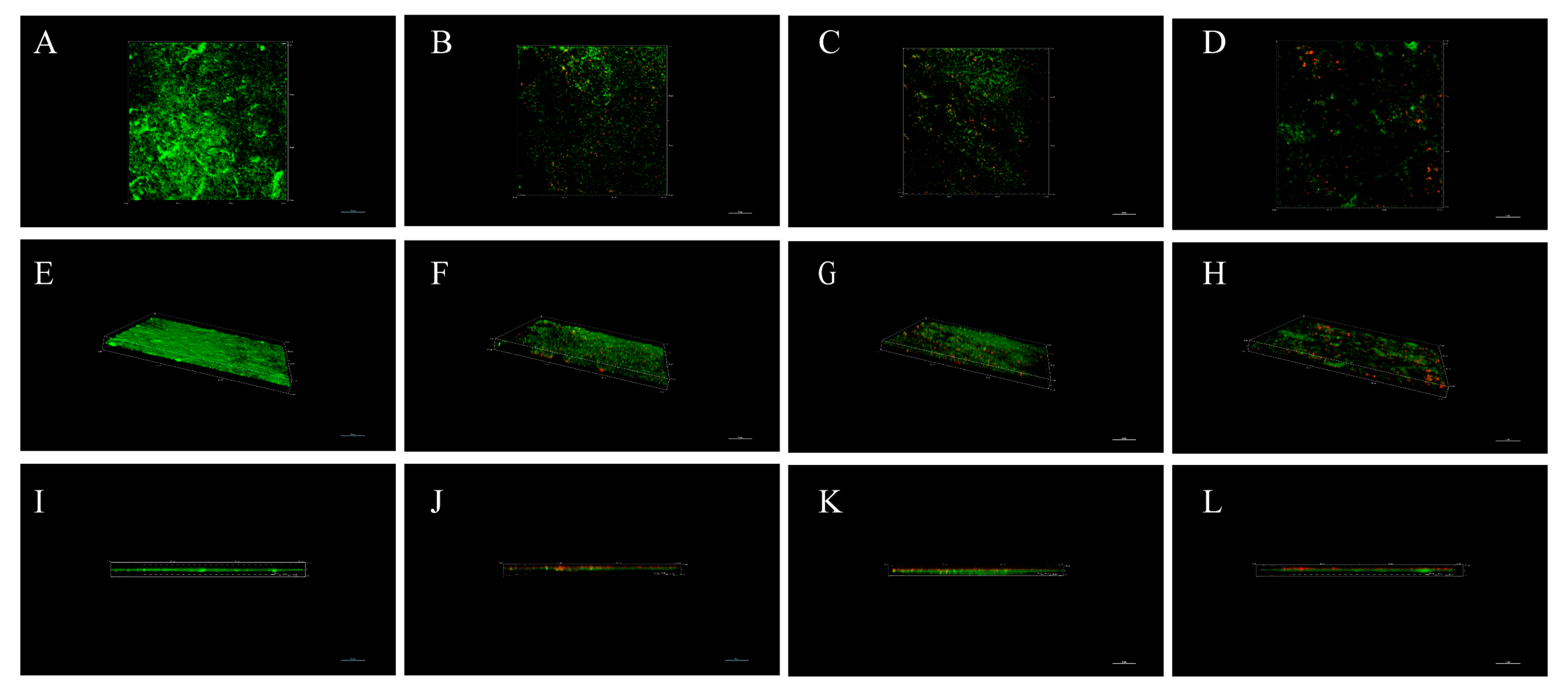 Microorganisms 09 01611 g008