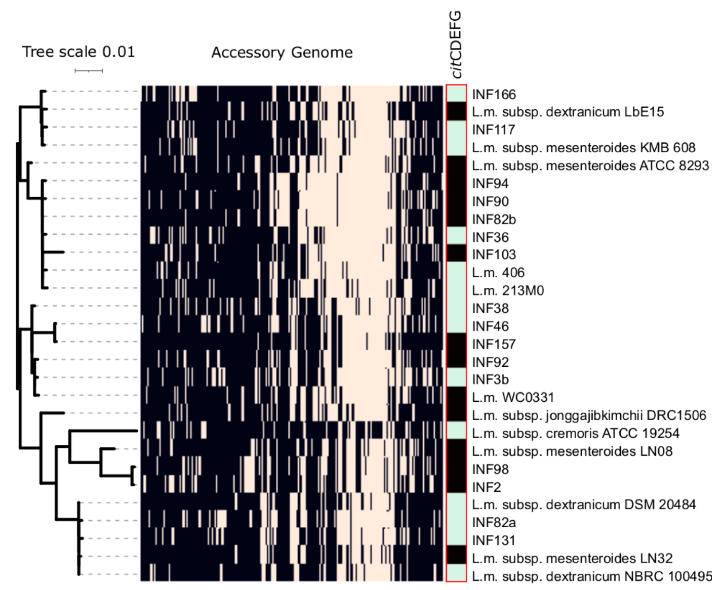 Microorganisms 09 01612 g003