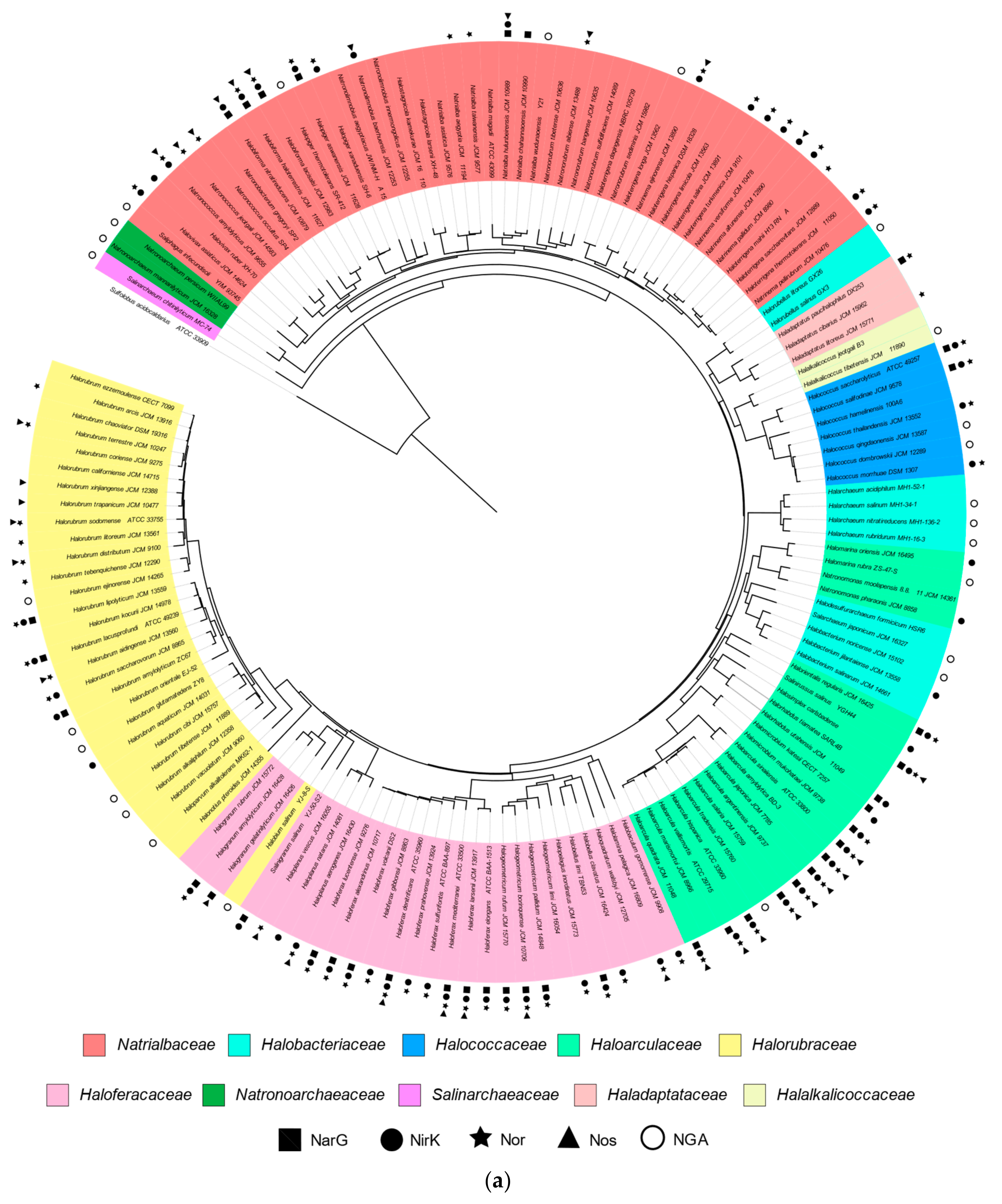 Microorganisms 09 01669 g001a